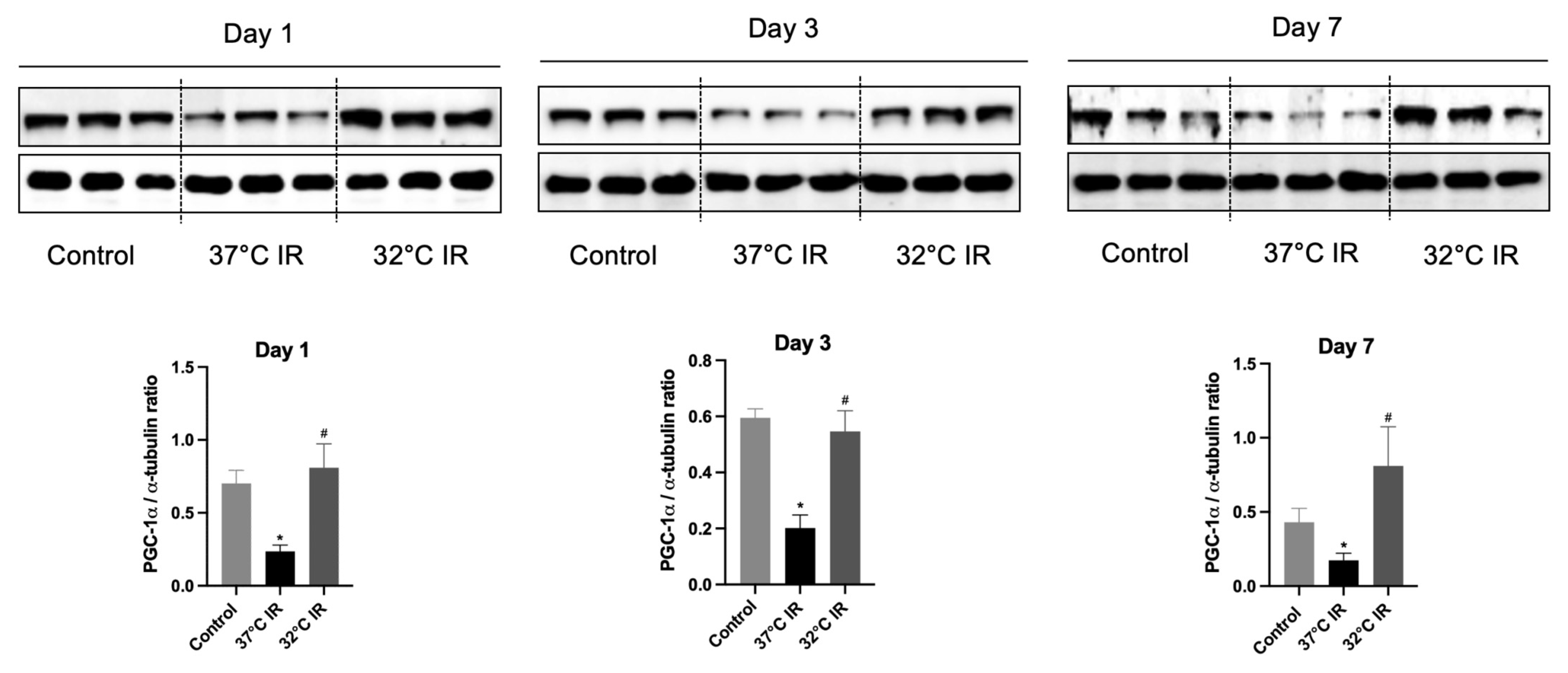 Biomedicines 13 01337 g006