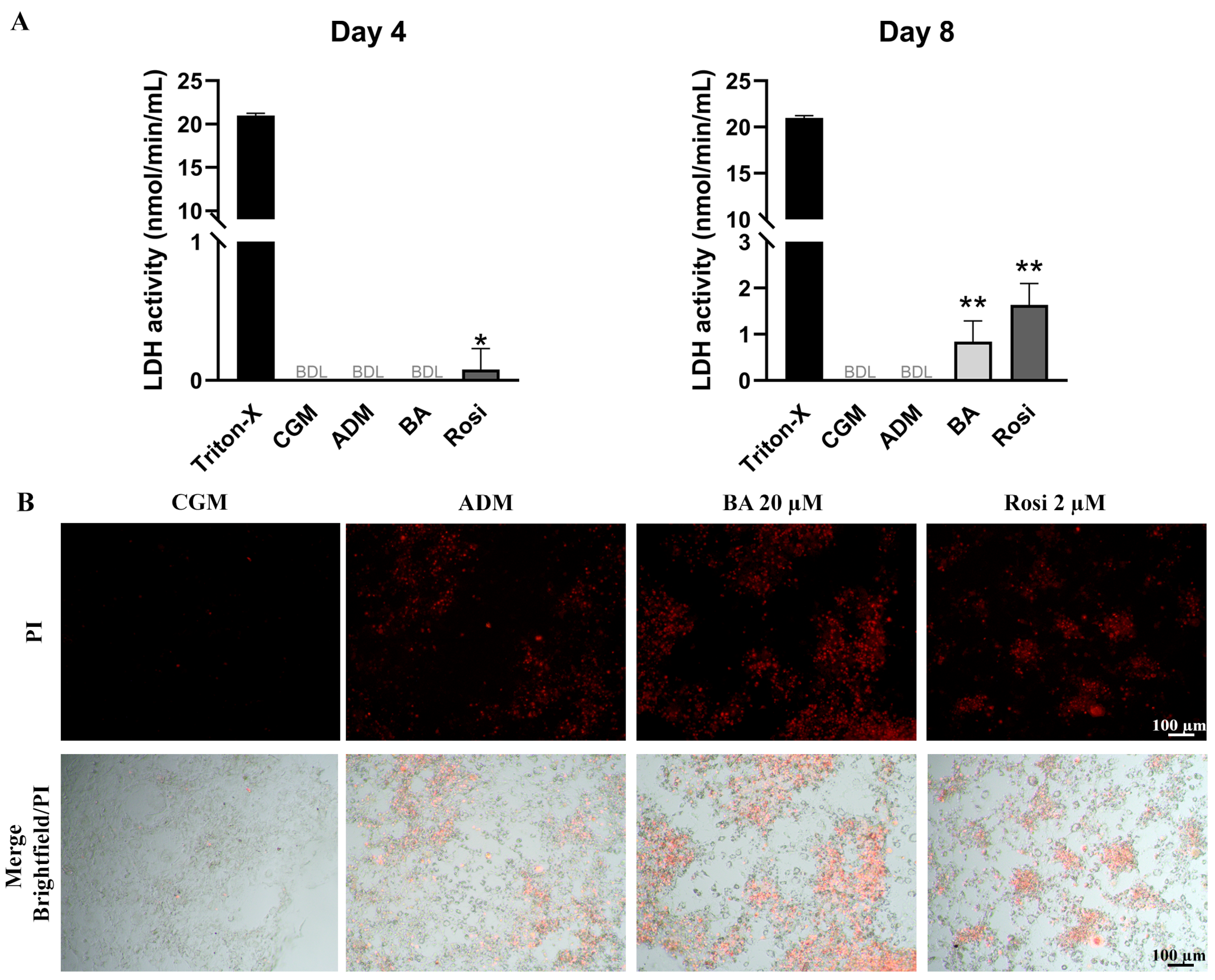 Biomedicines 13 01340 g006