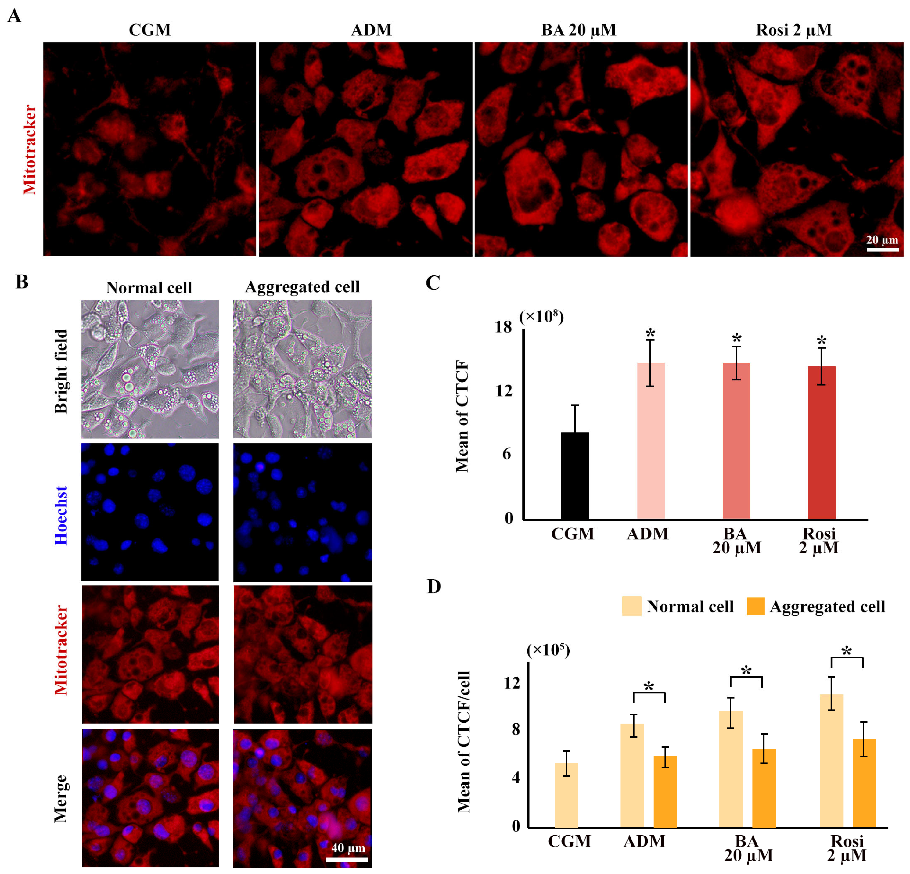 Biomedicines 13 01340 g008