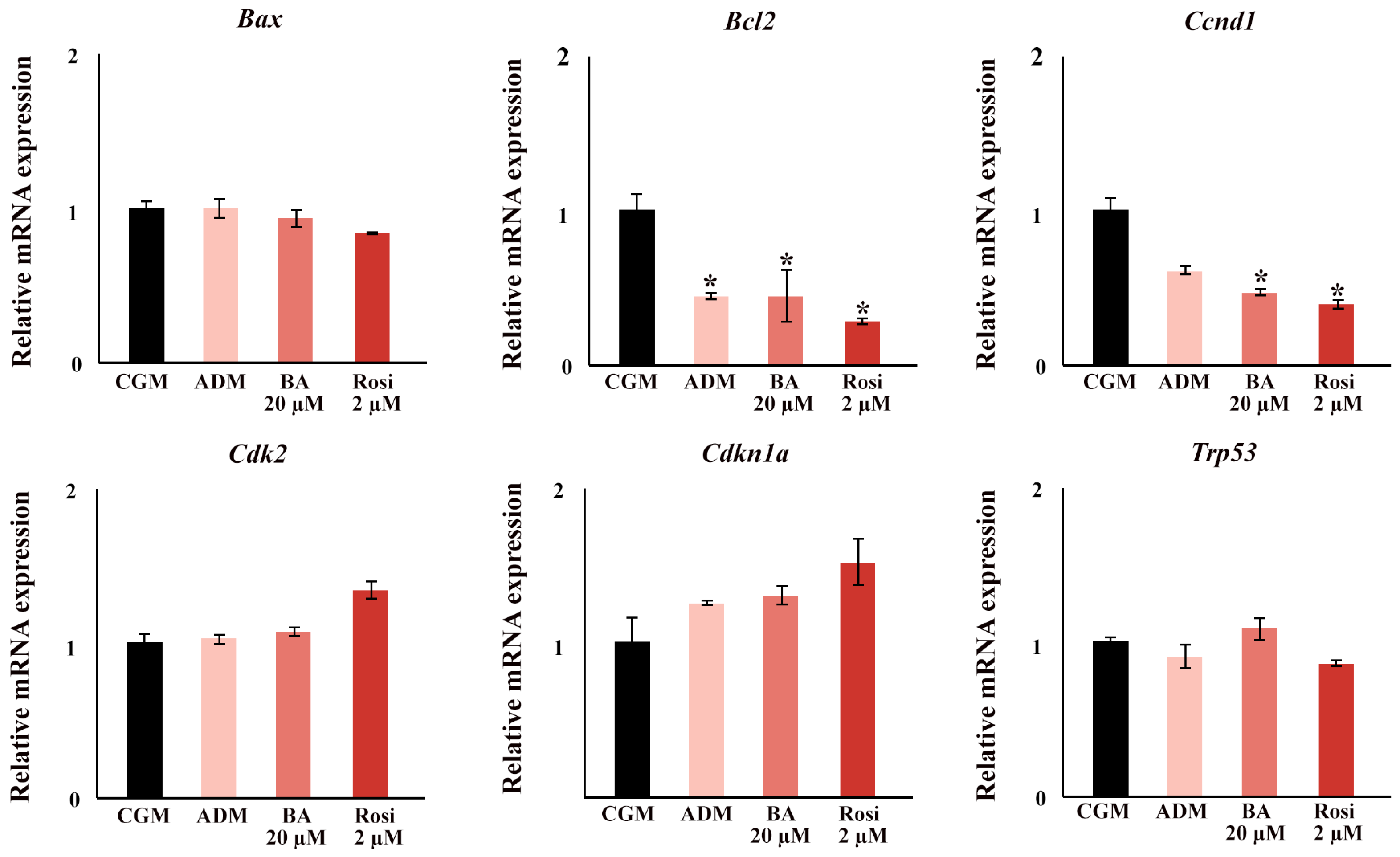 Biomedicines 13 01340 g010