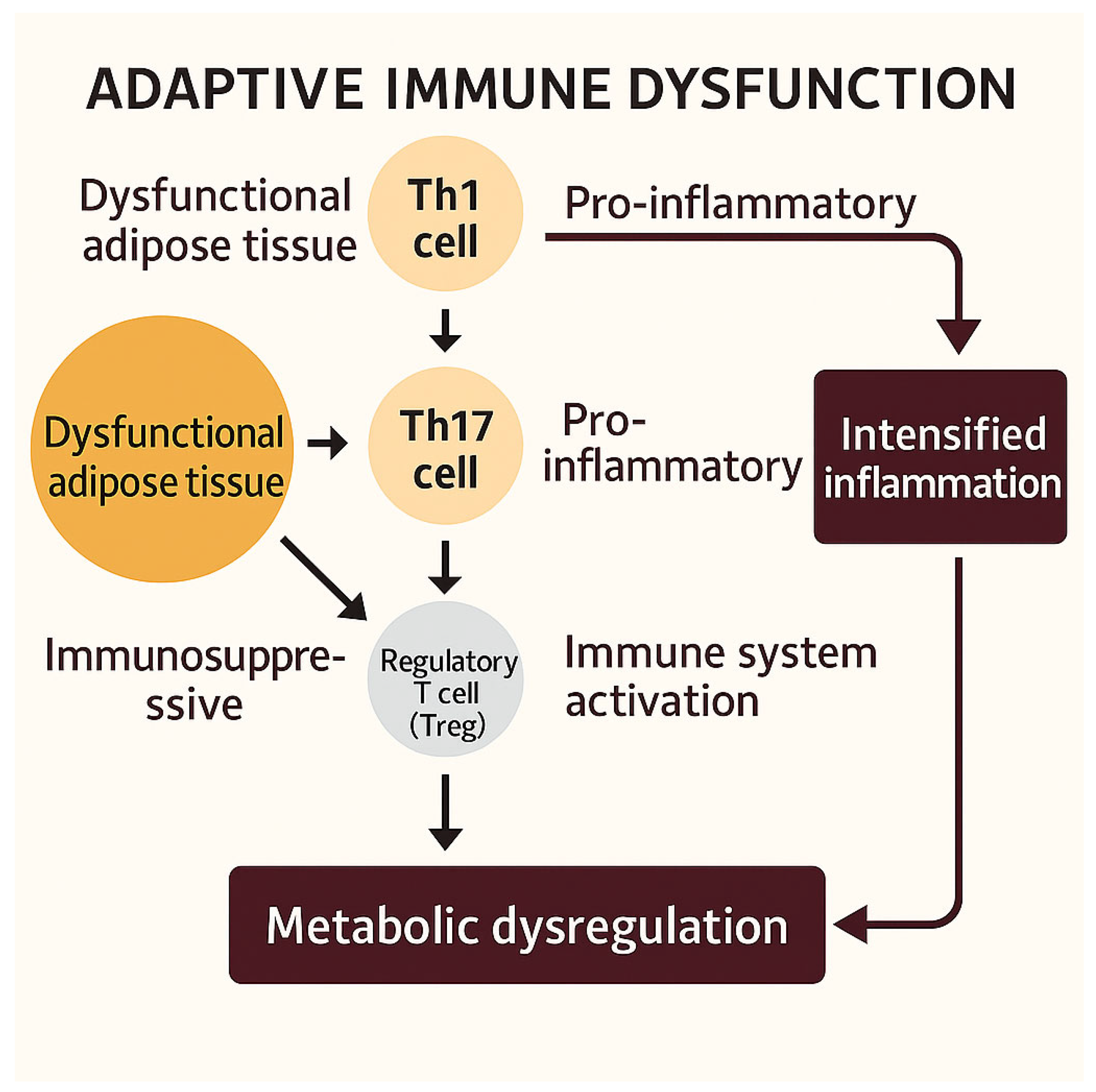 Biomedicines 13 01343 g003