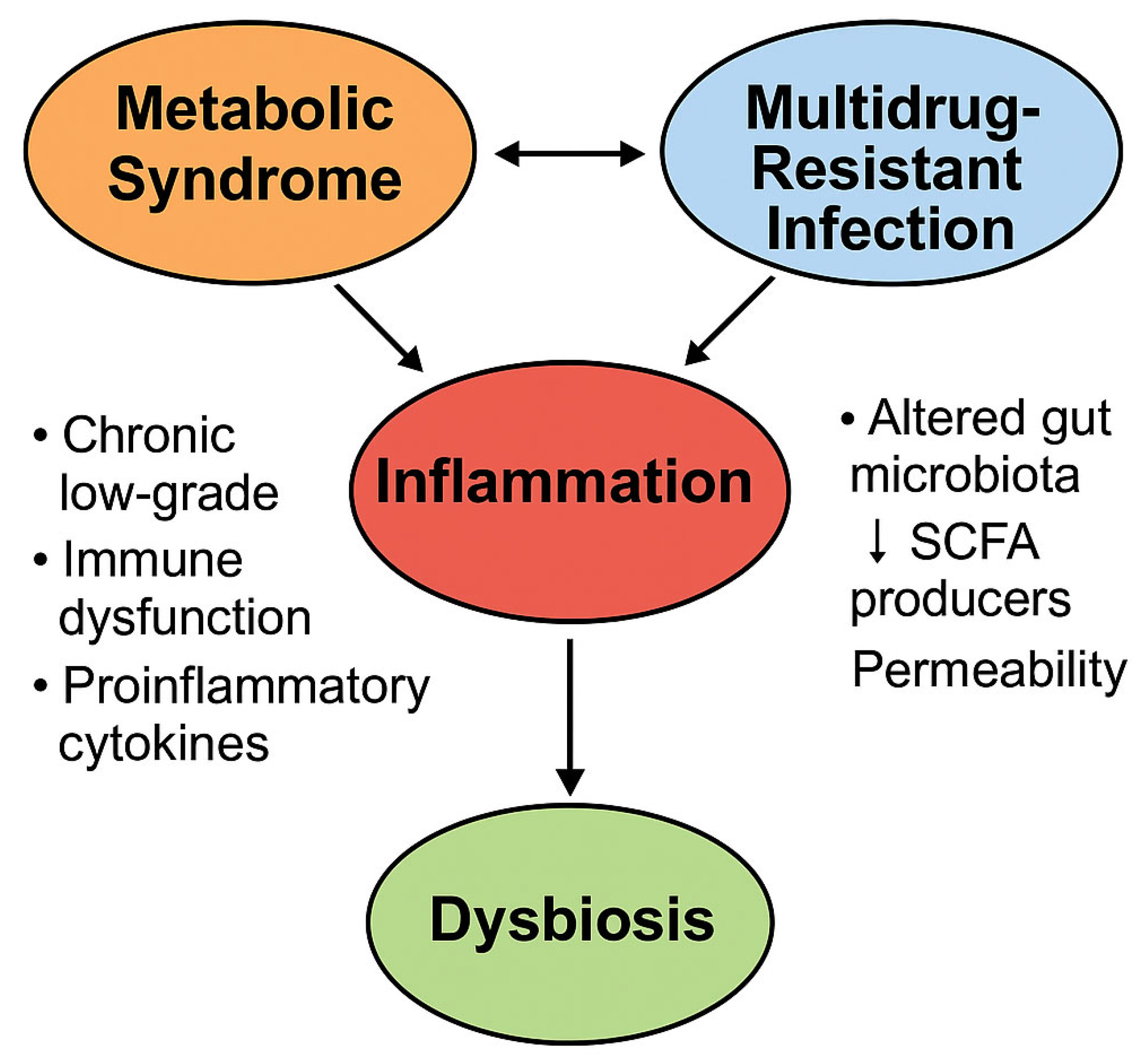 Biomedicines 13 01343 g007