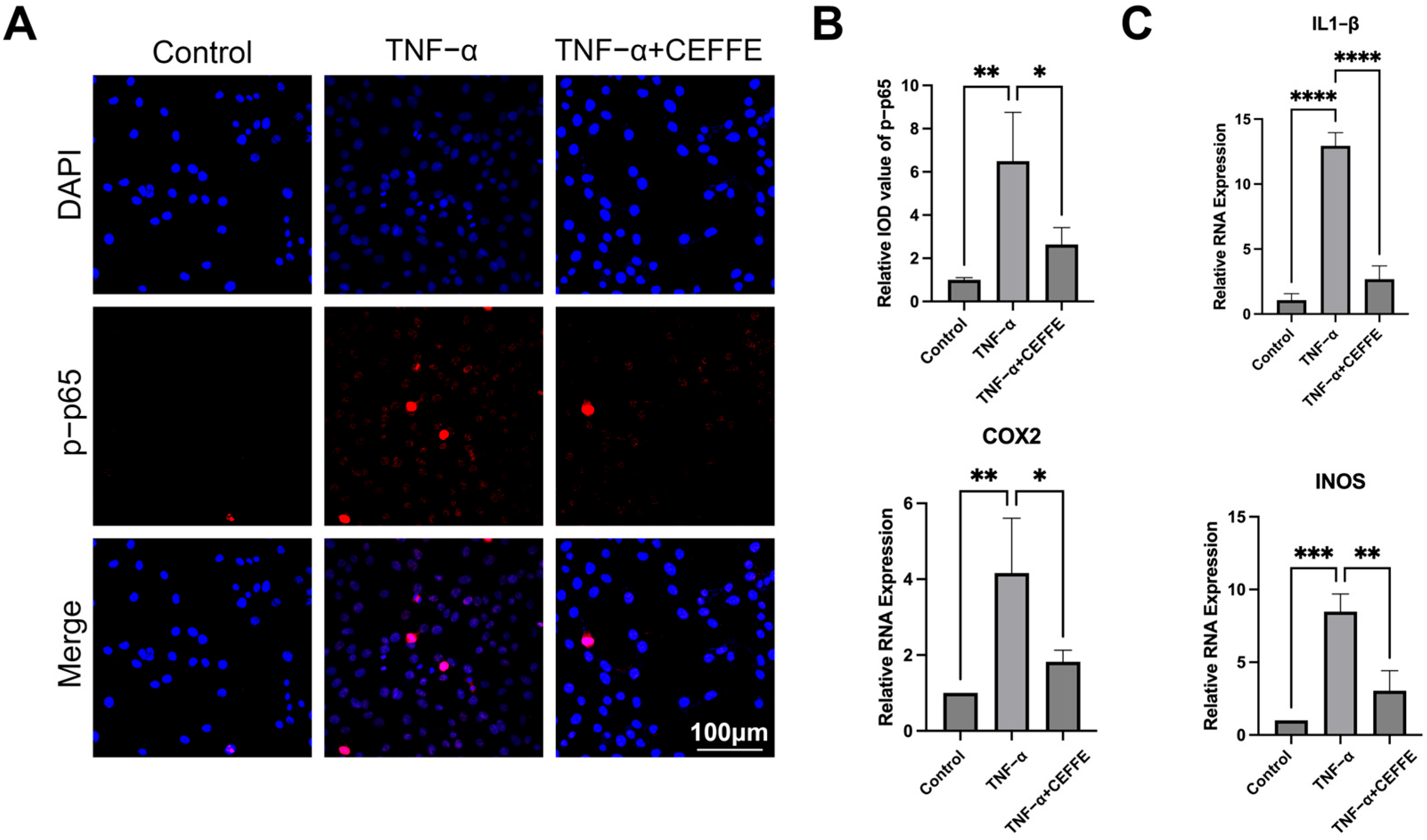 Biomedicines 13 01344 g002