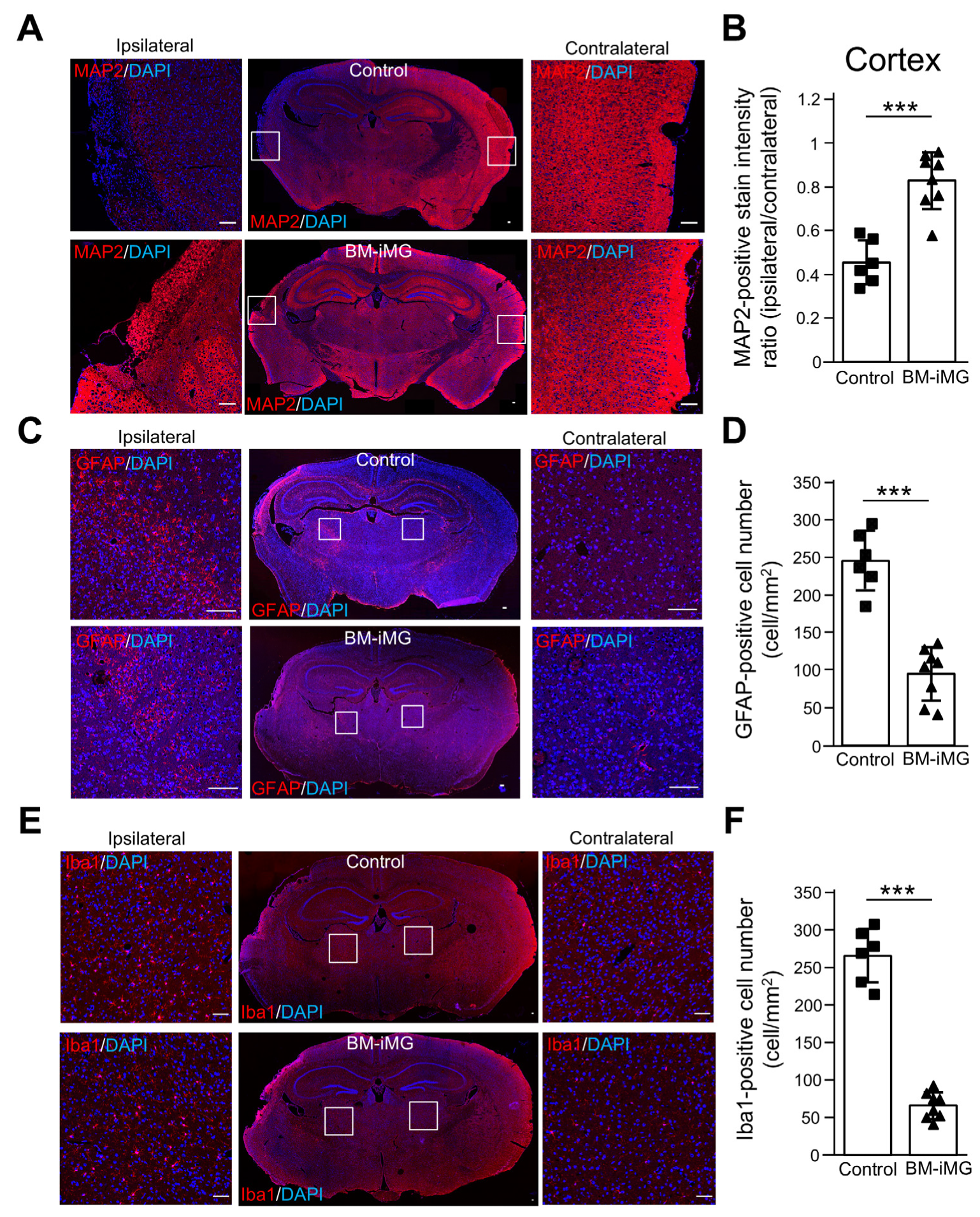 Biomedicines 13 01347 g004 Biomedicines 13 01347 g004
