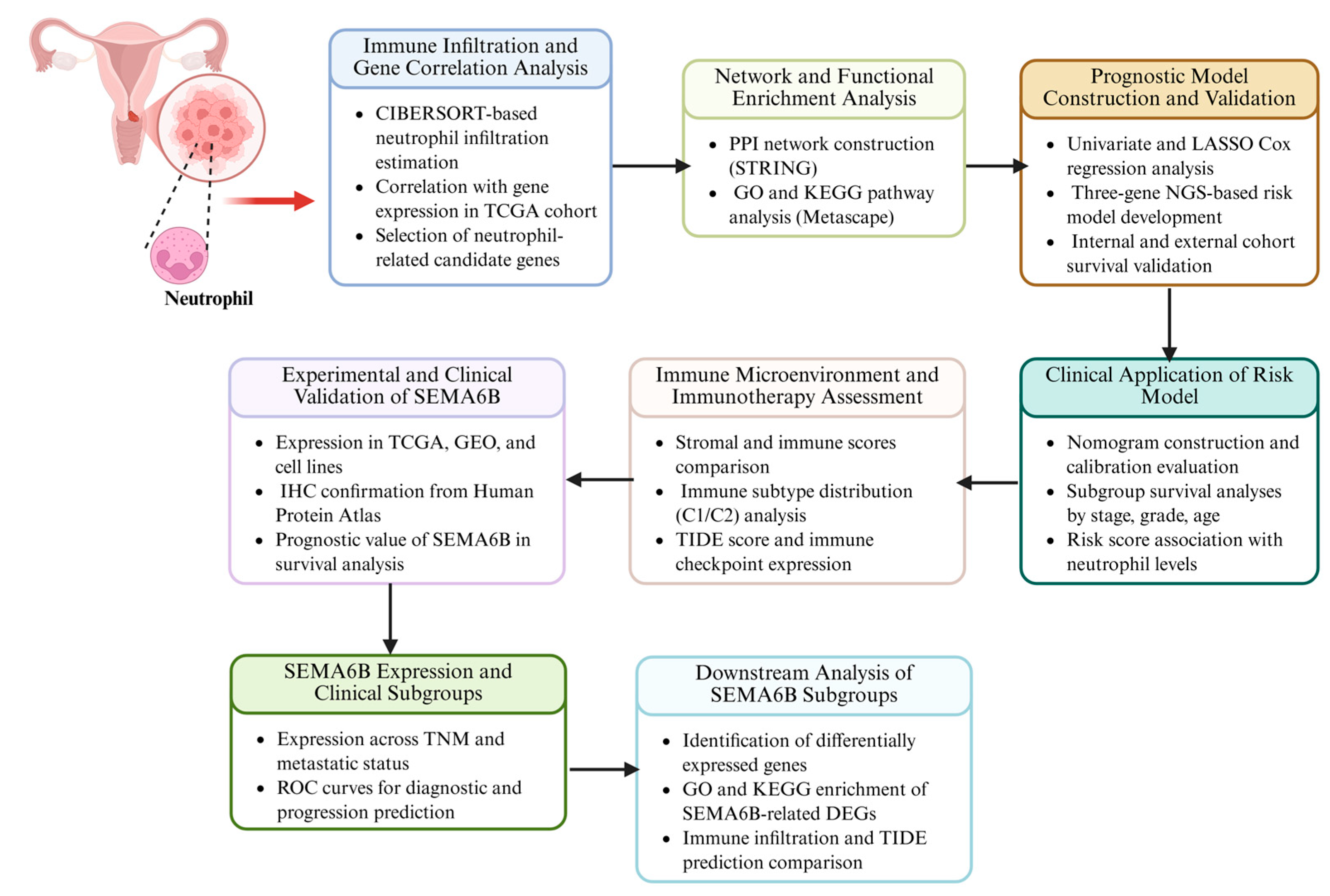 Biomedicines 13 01348 g001