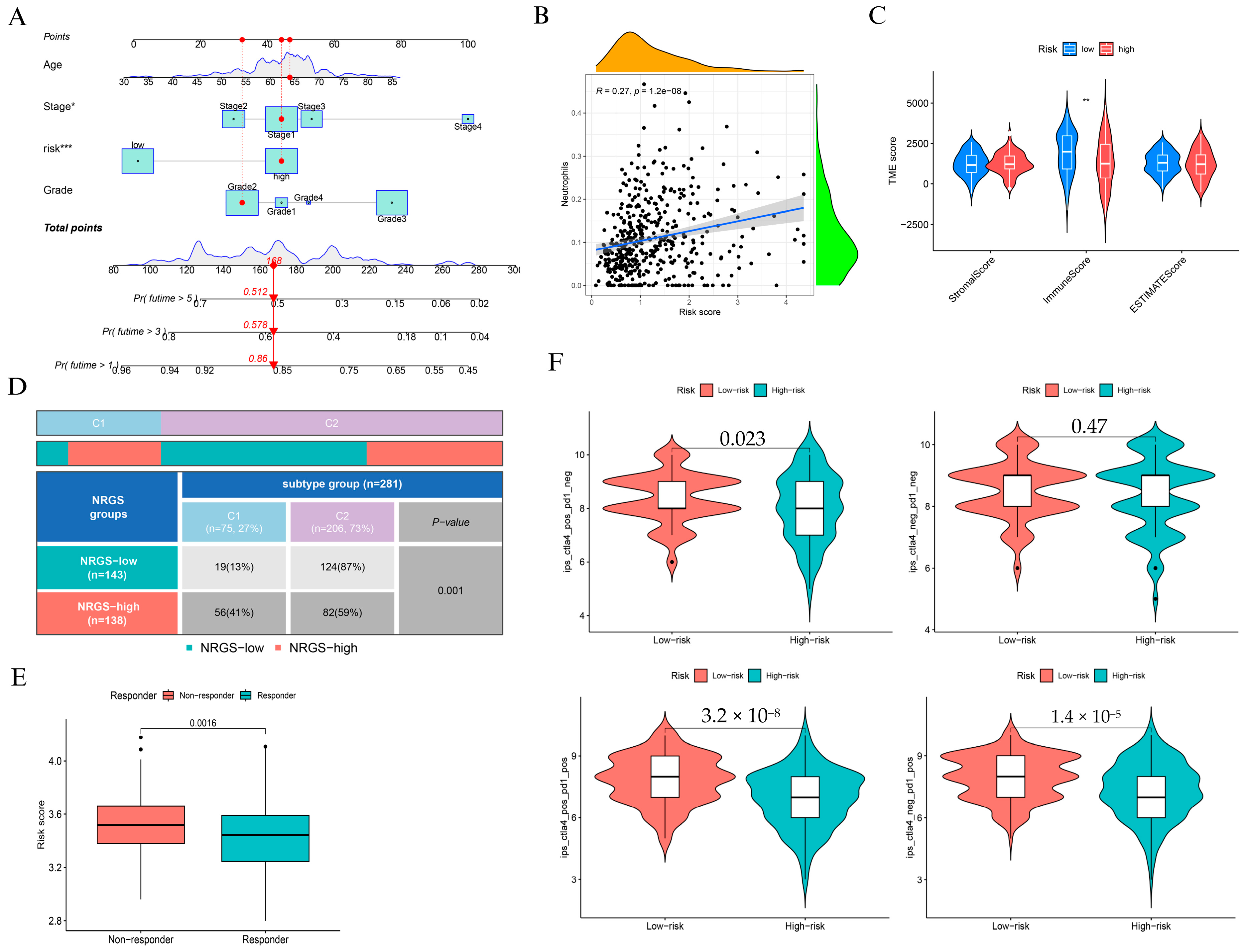 Biomedicines 13 01348 g004
