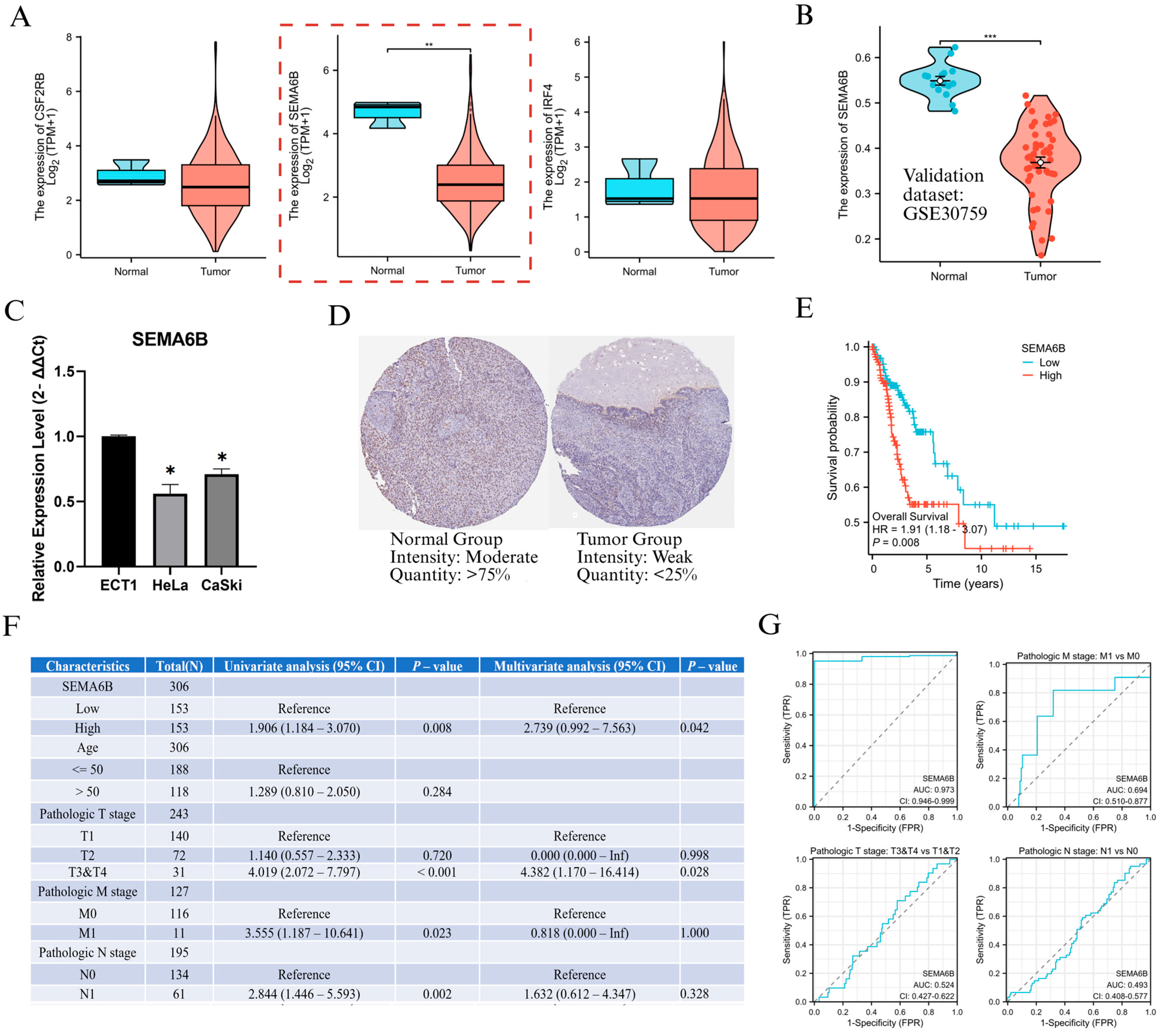 Biomedicines 13 01348 g005