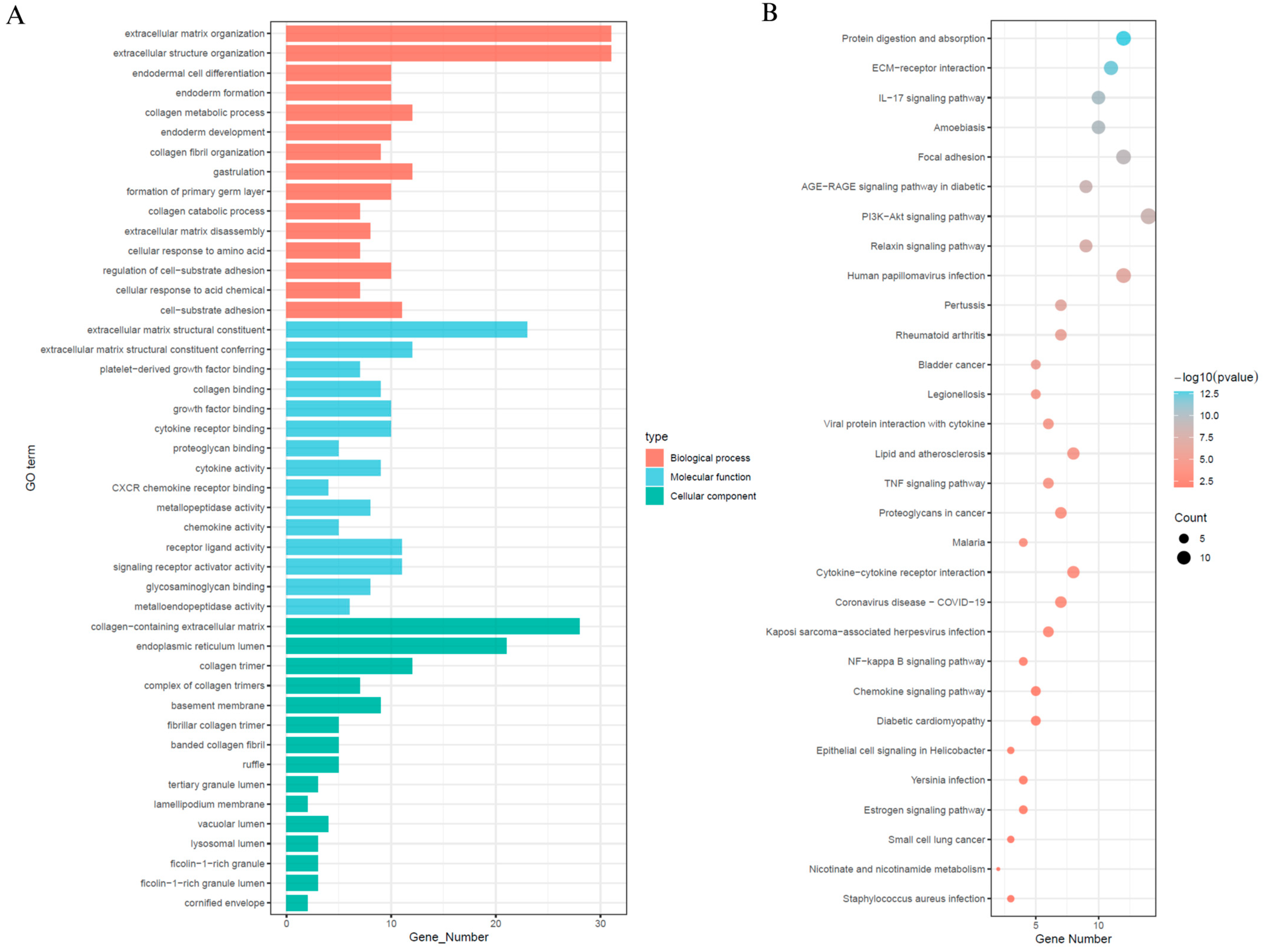 Biomedicines 13 01348 g006