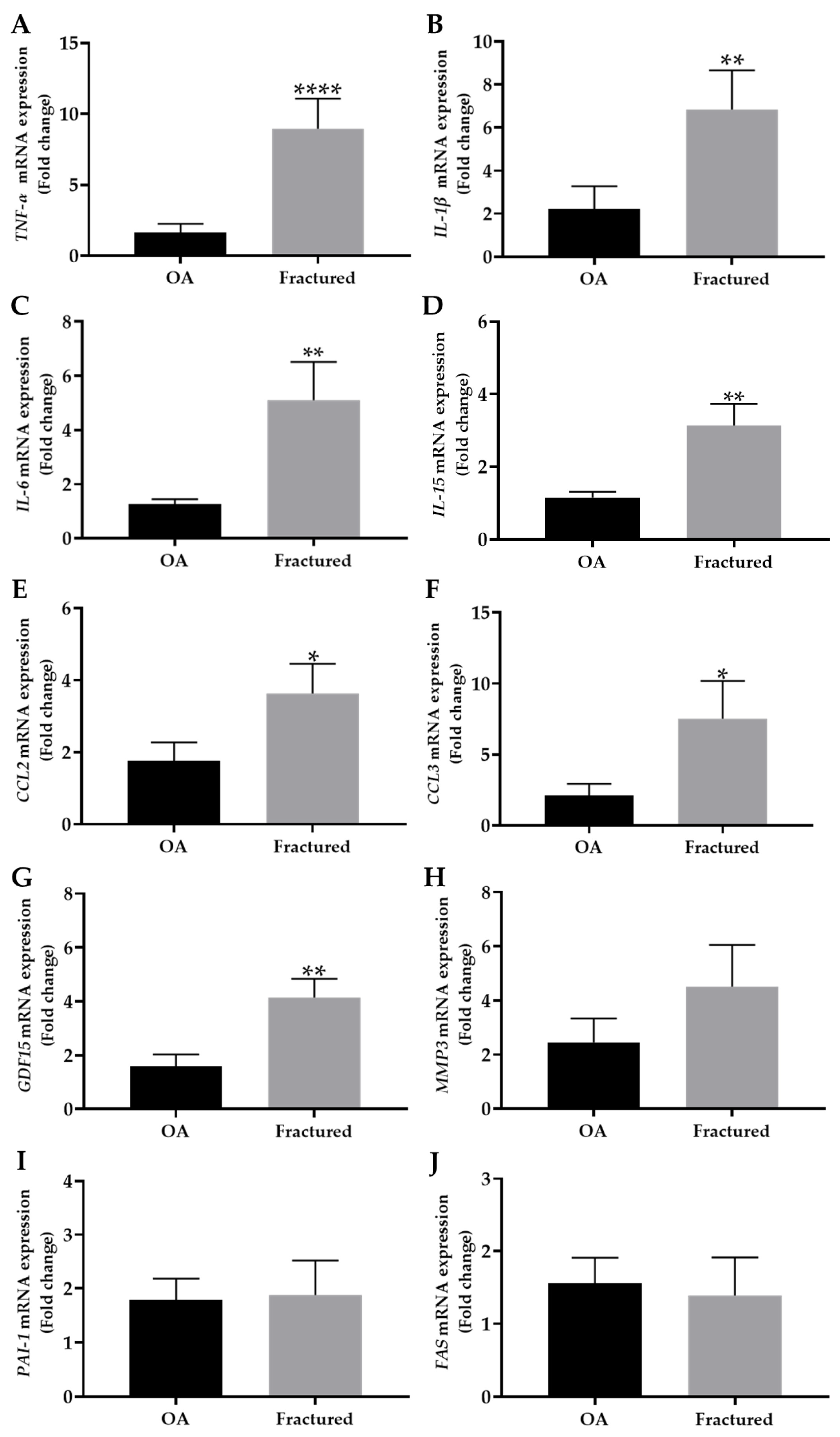 Biomedicines 13 01350 g003