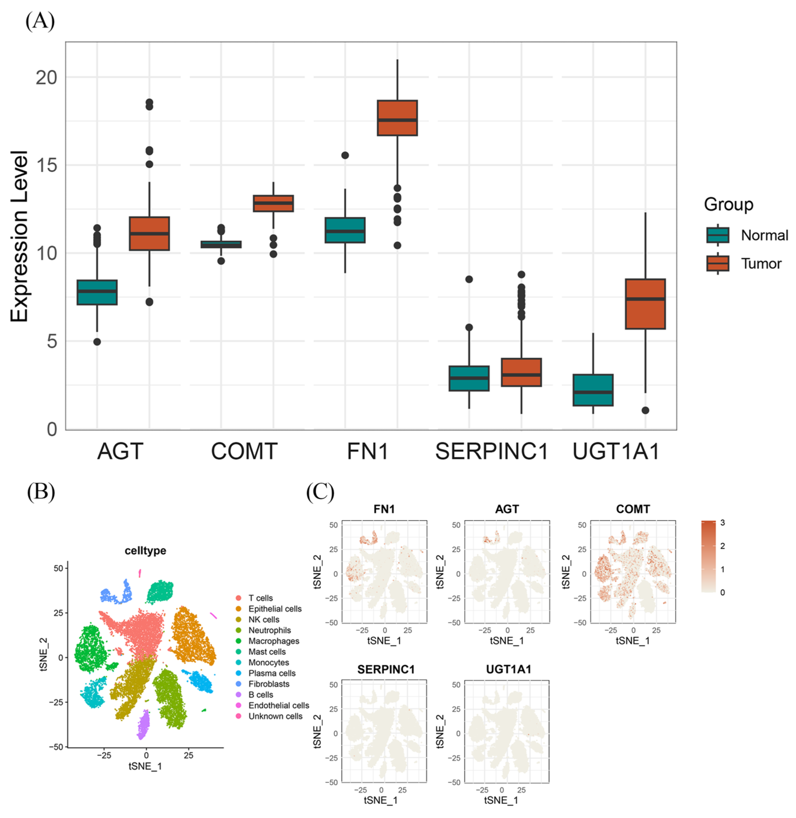 Biomedicines 13 01351 g003
