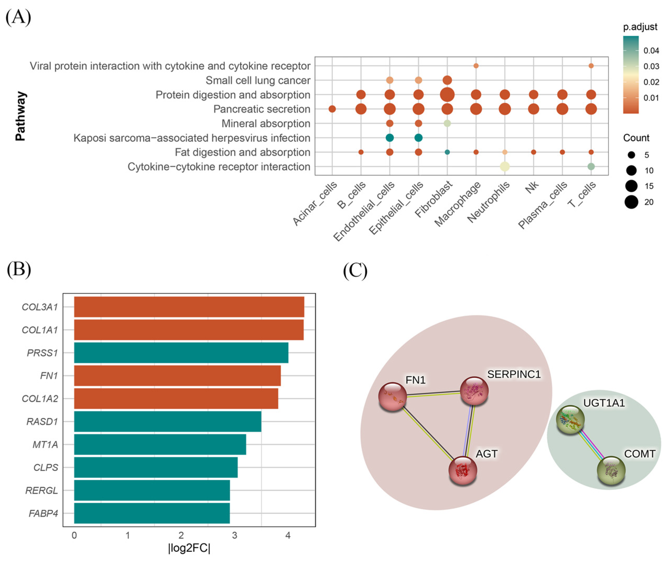 Biomedicines 13 01351 g004