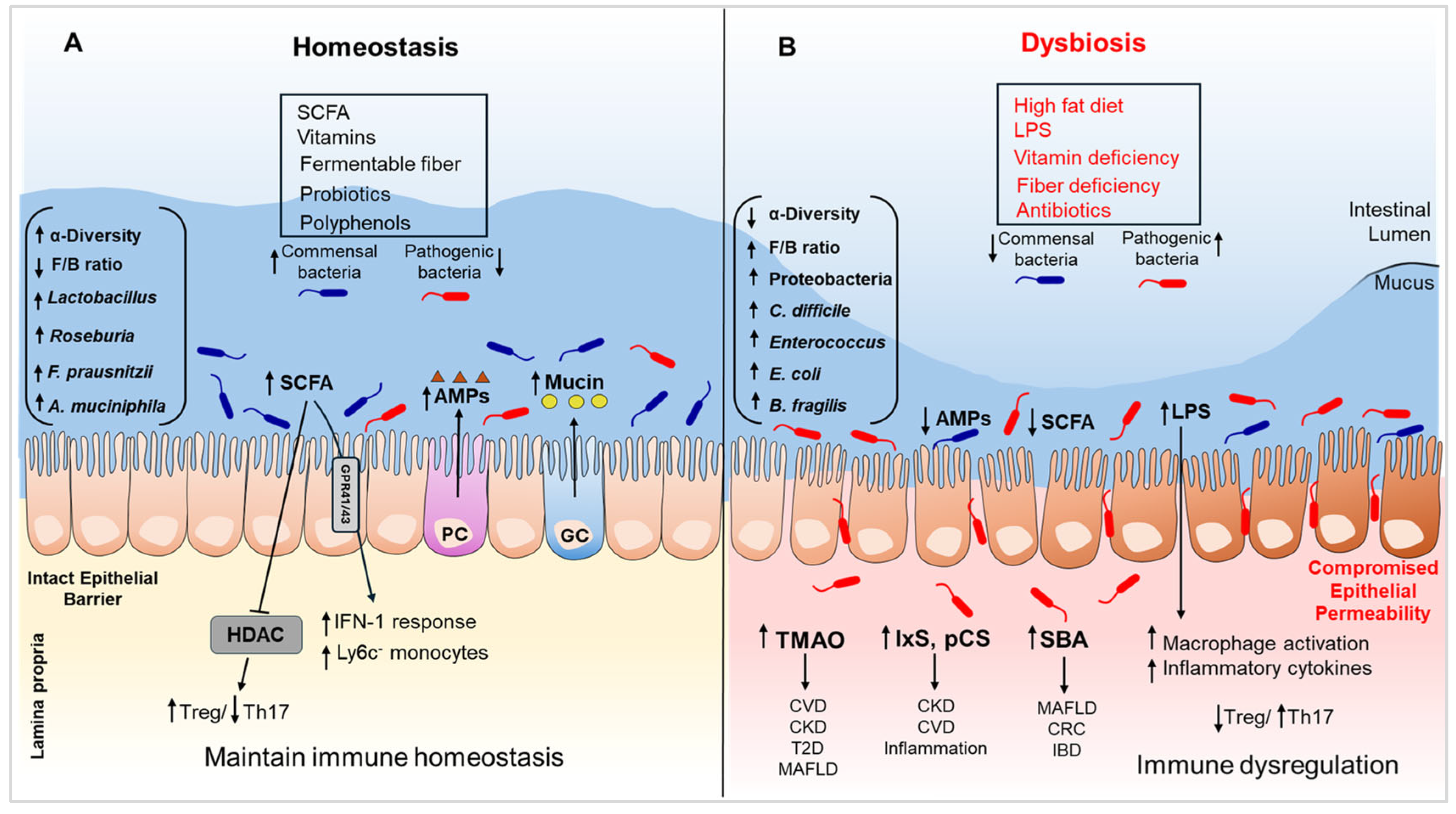 Biomedicines 13 01357 g001