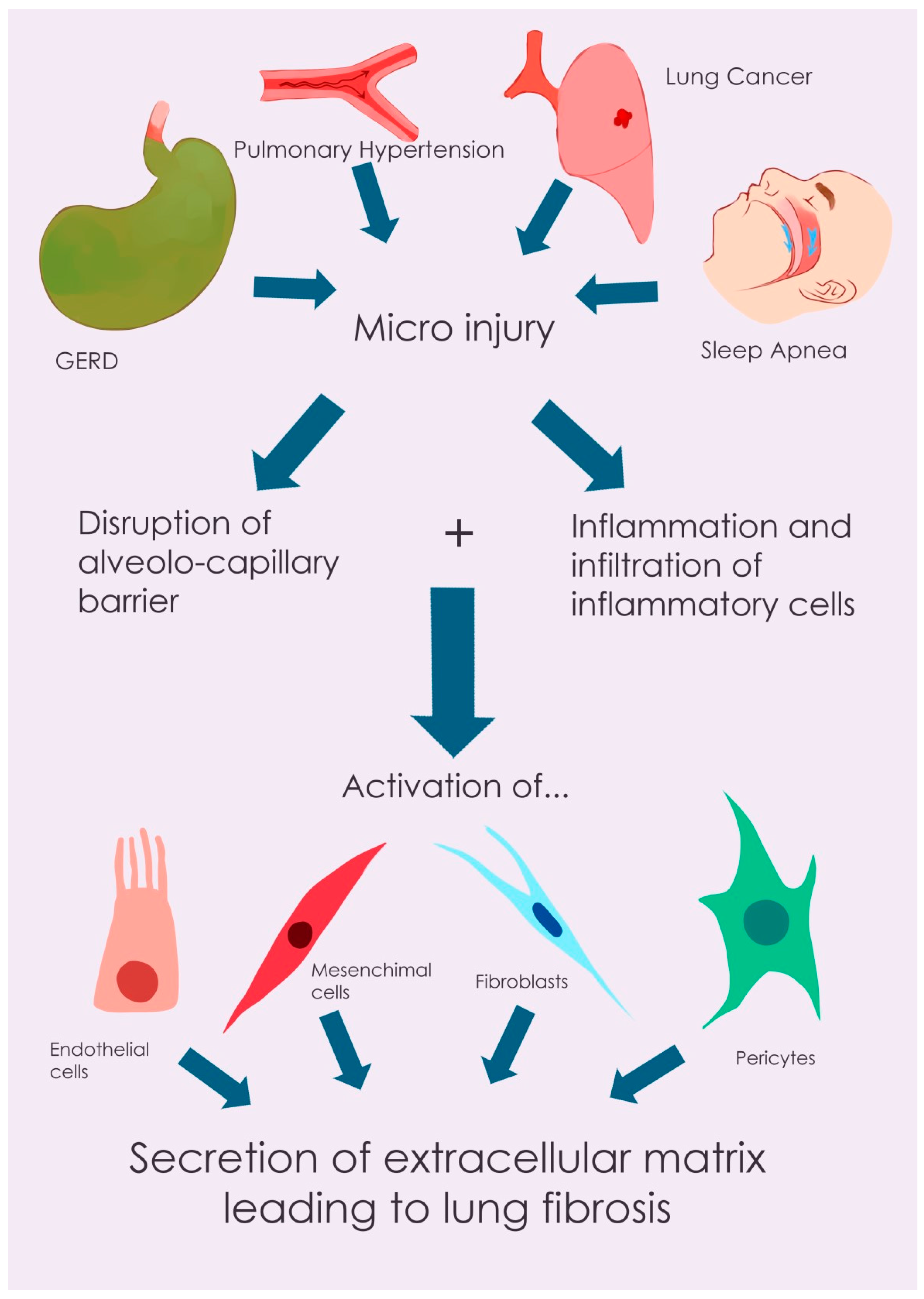 Biomedicines 13 01362 g001