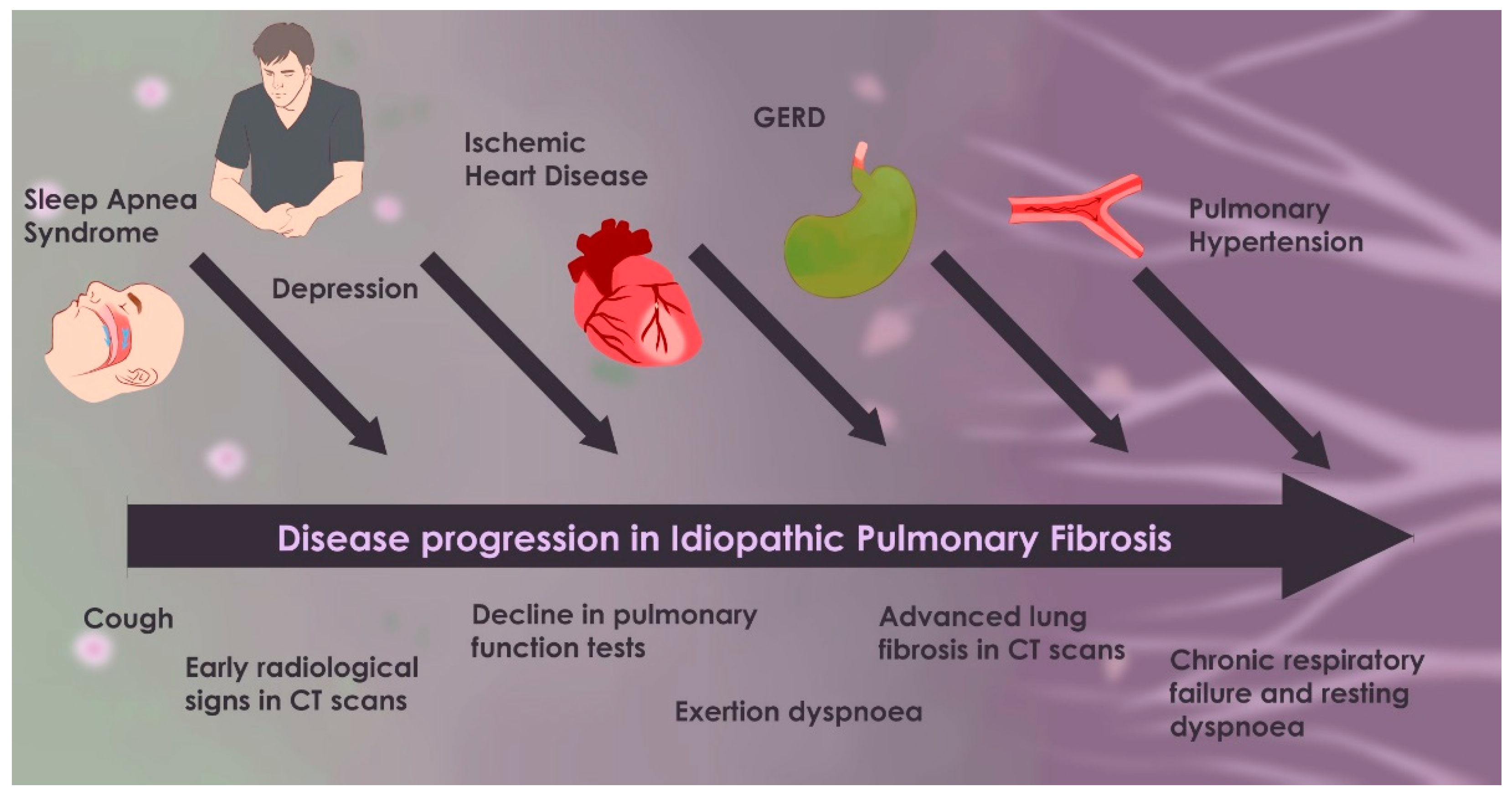 Biomedicines 13 01362 g002