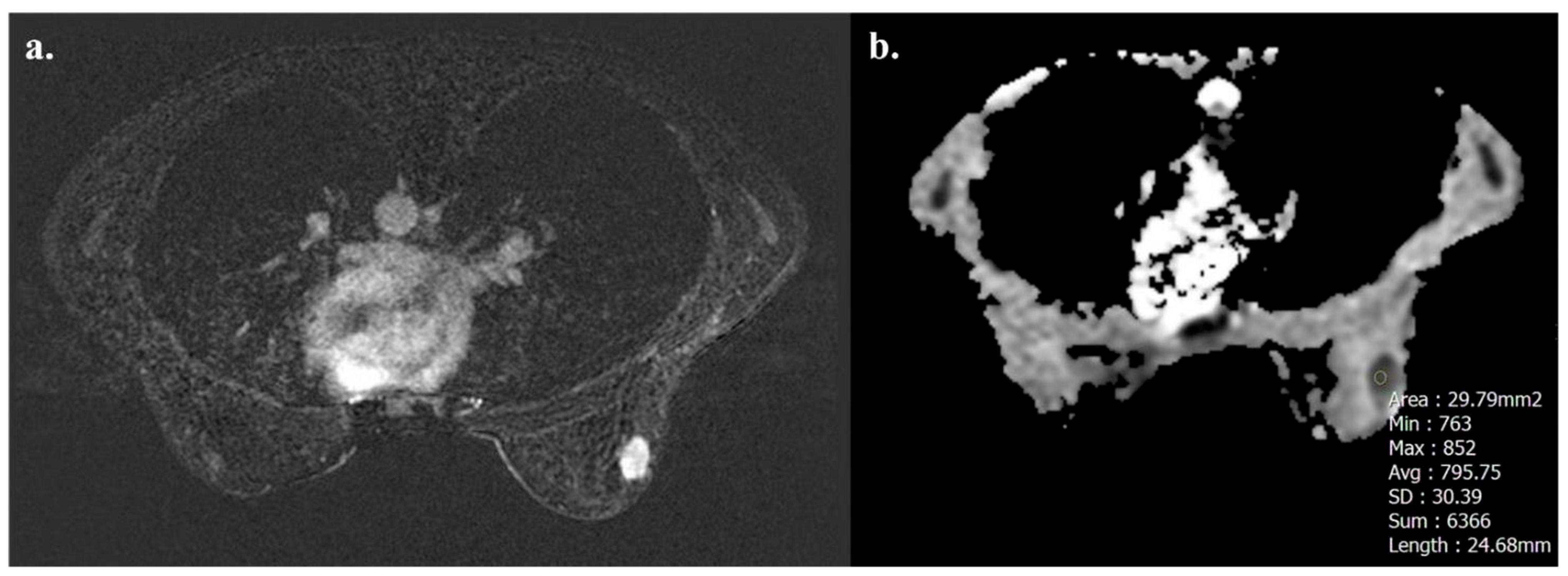 Biomedicines 13 01364 g003