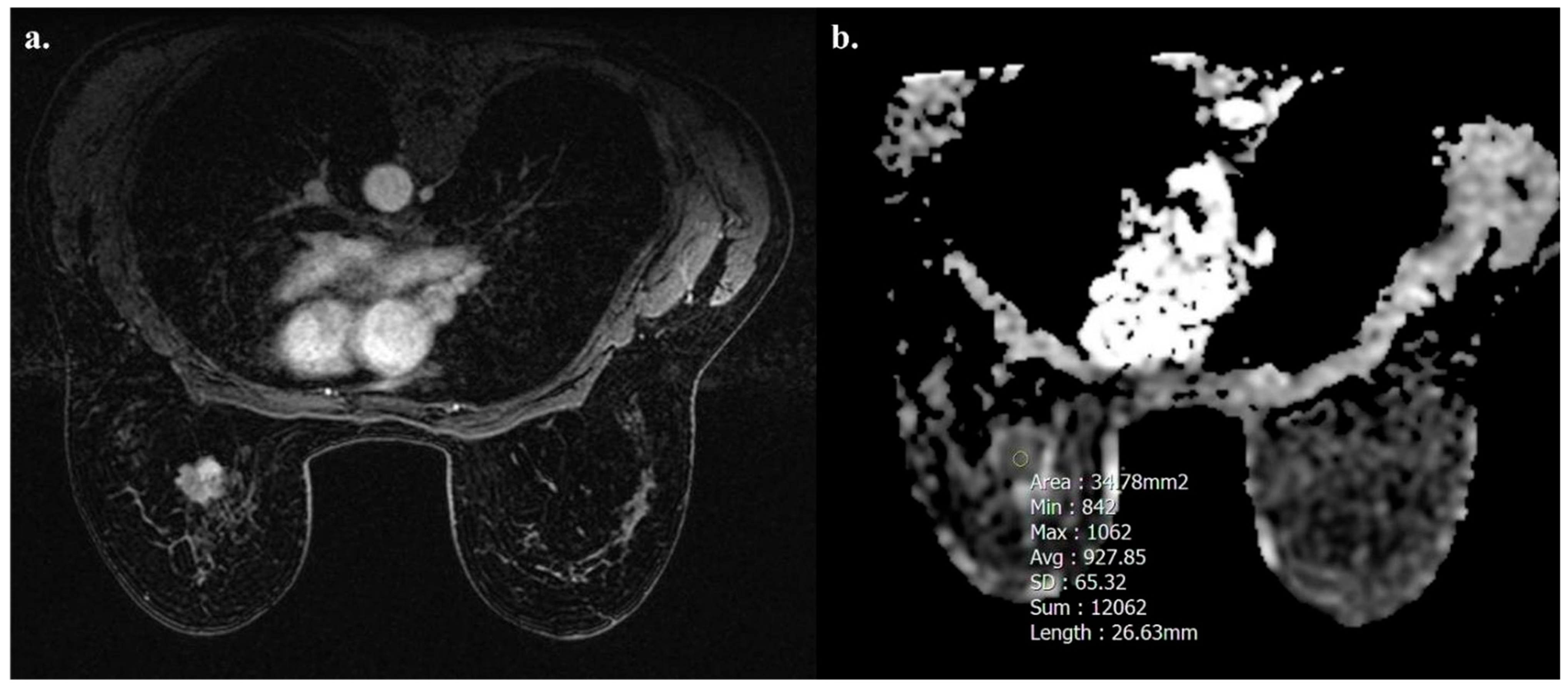 Biomedicines 13 01364 g004