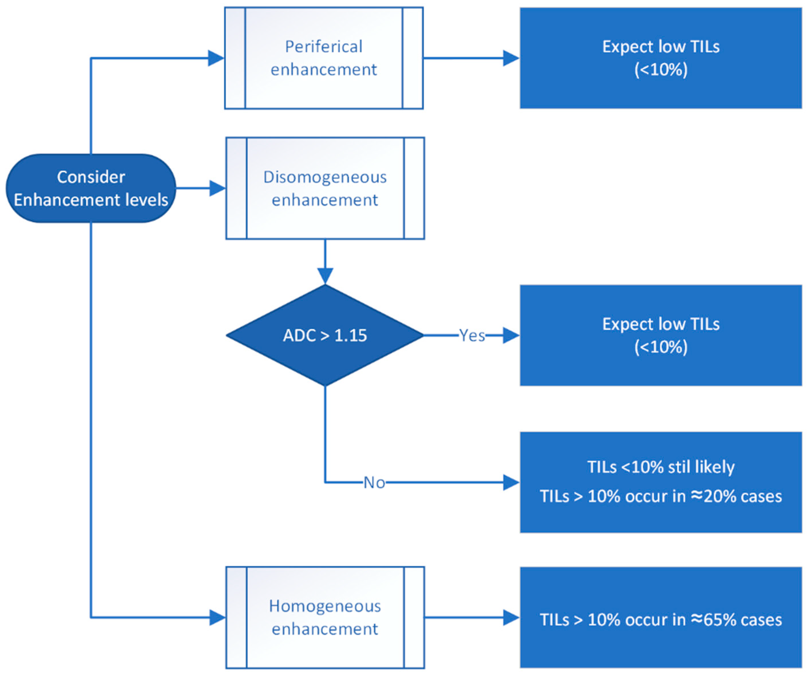 Biomedicines 13 01364 g007