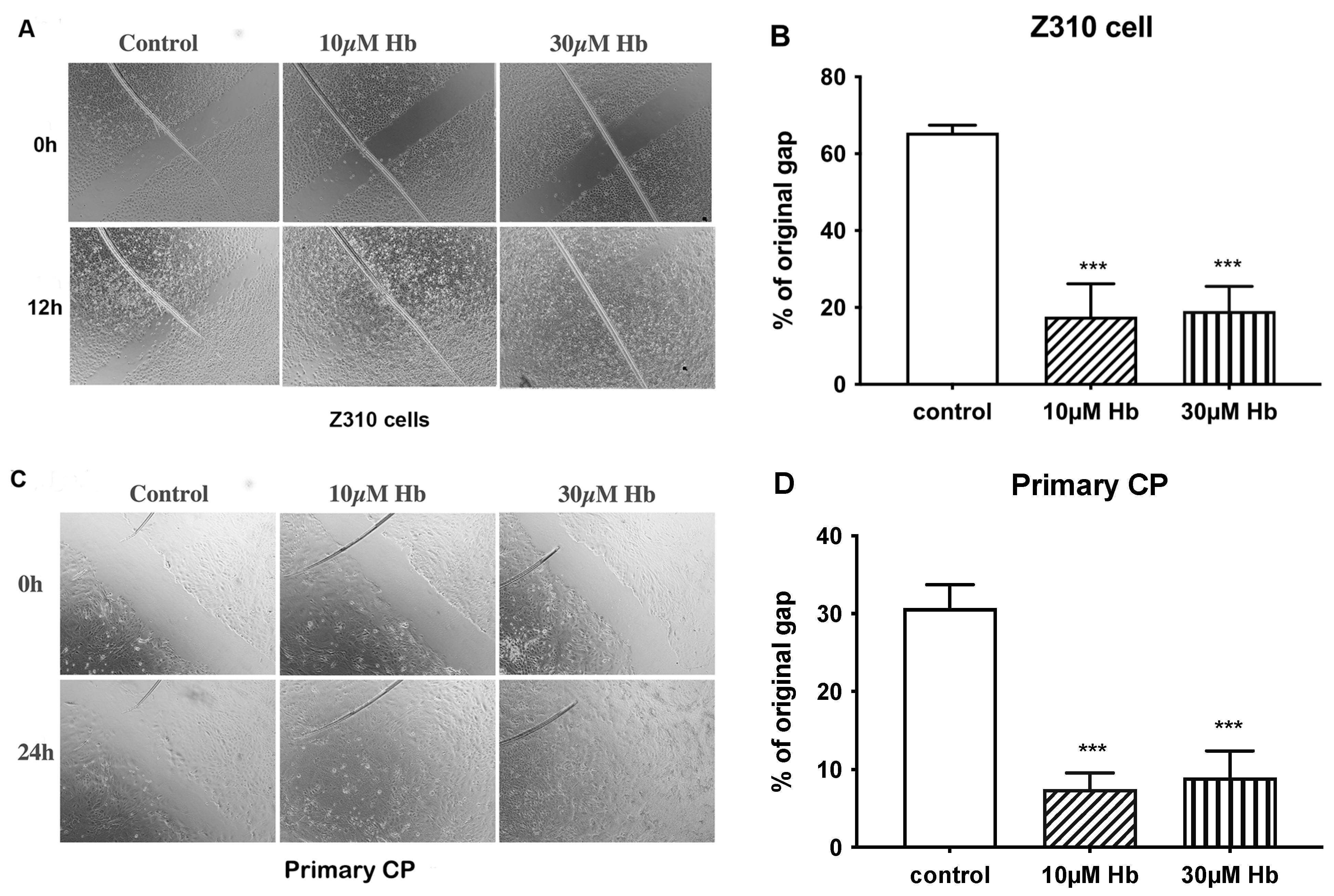 Biomedicines 13 01366 g002