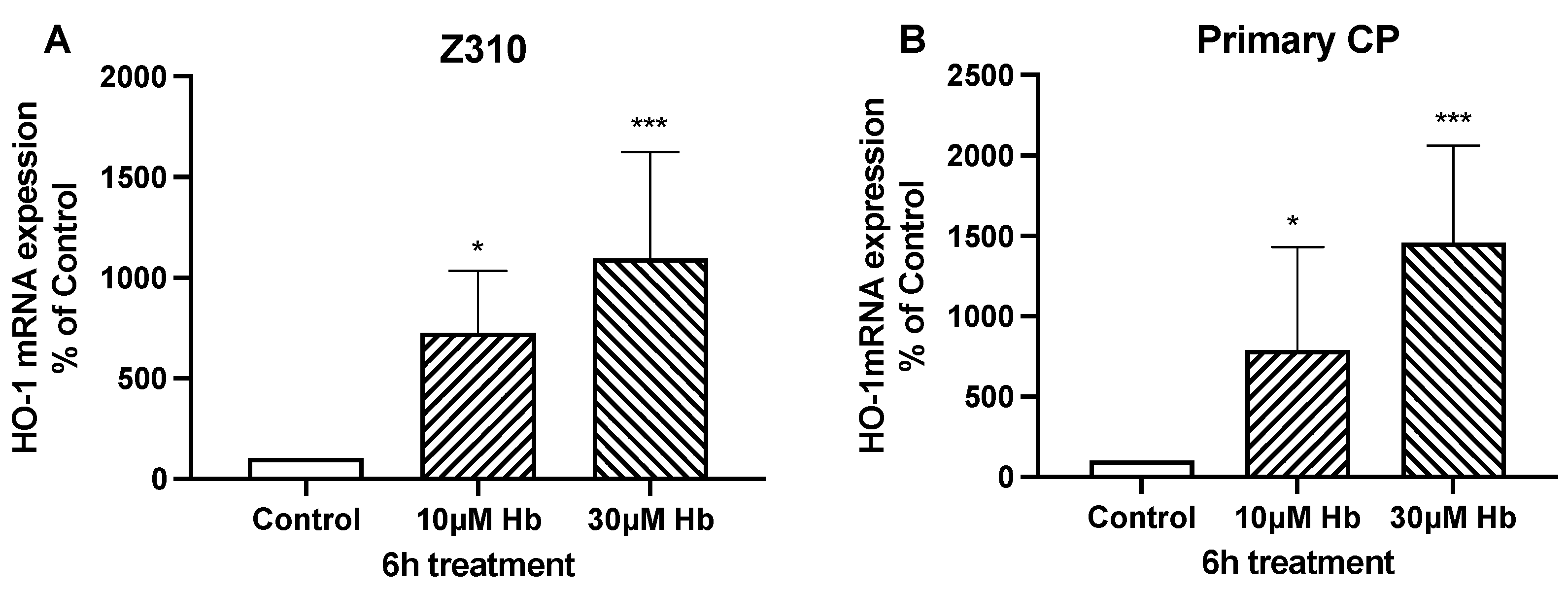 Biomedicines 13 01366 g003