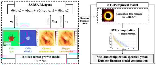 Biomedicines 13 01367 g001