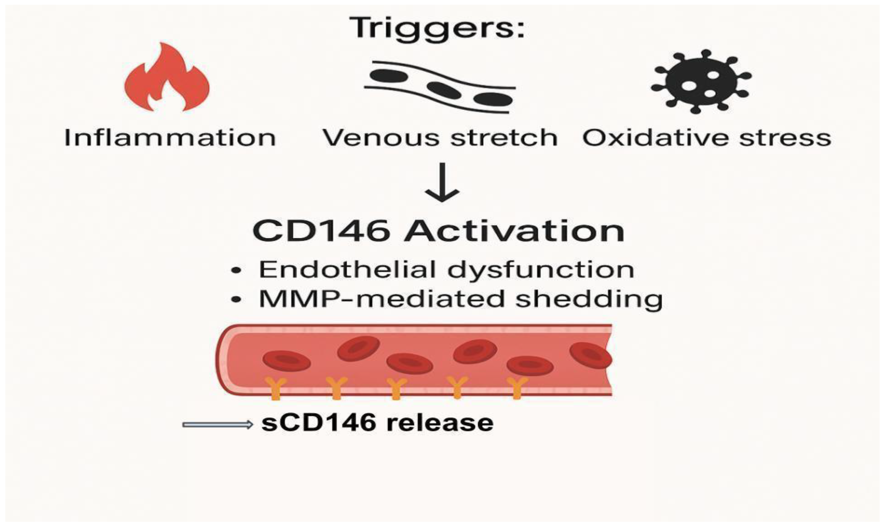 Biomedicines 13 01370 g001