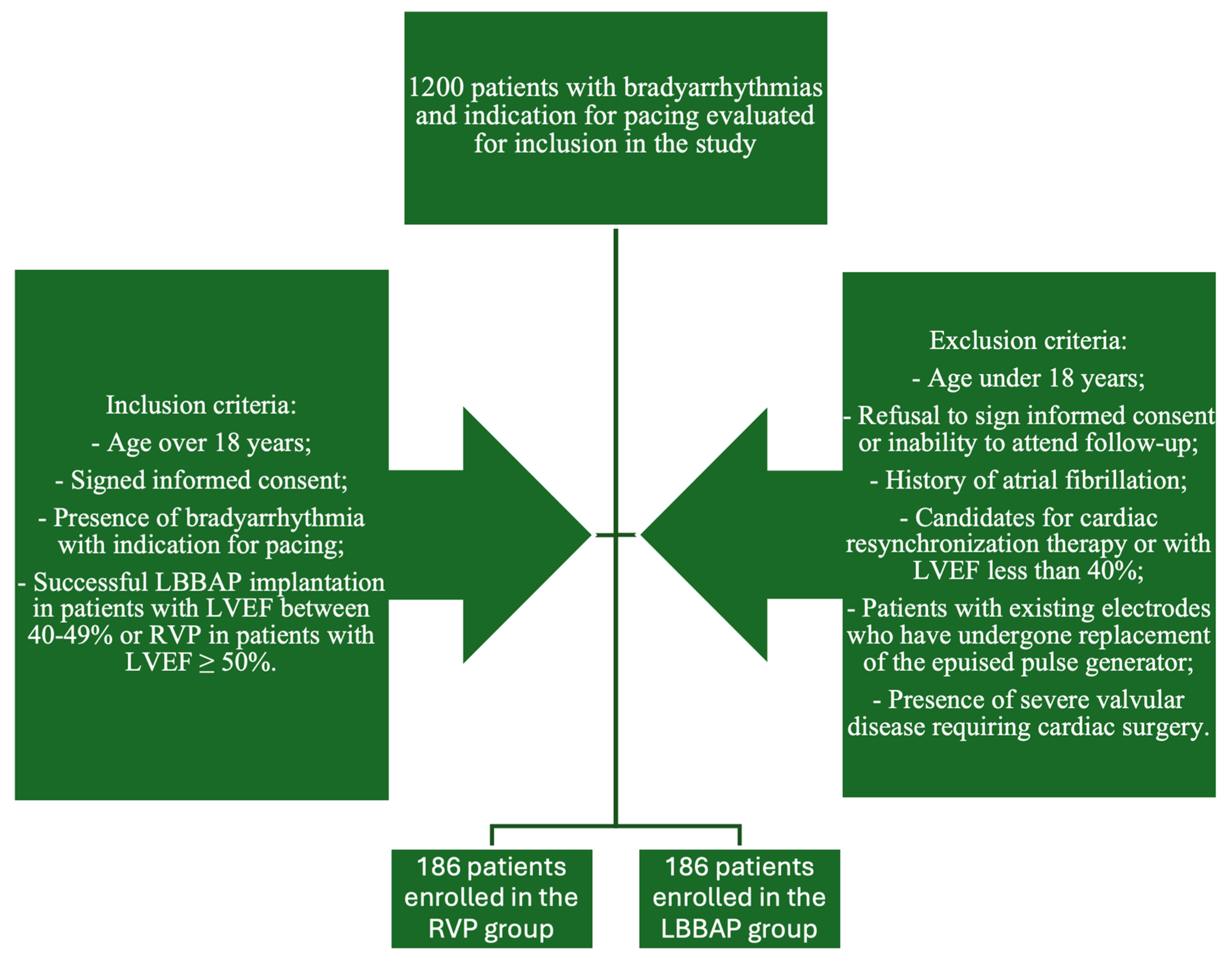 Biomedicines 13 01374 g001