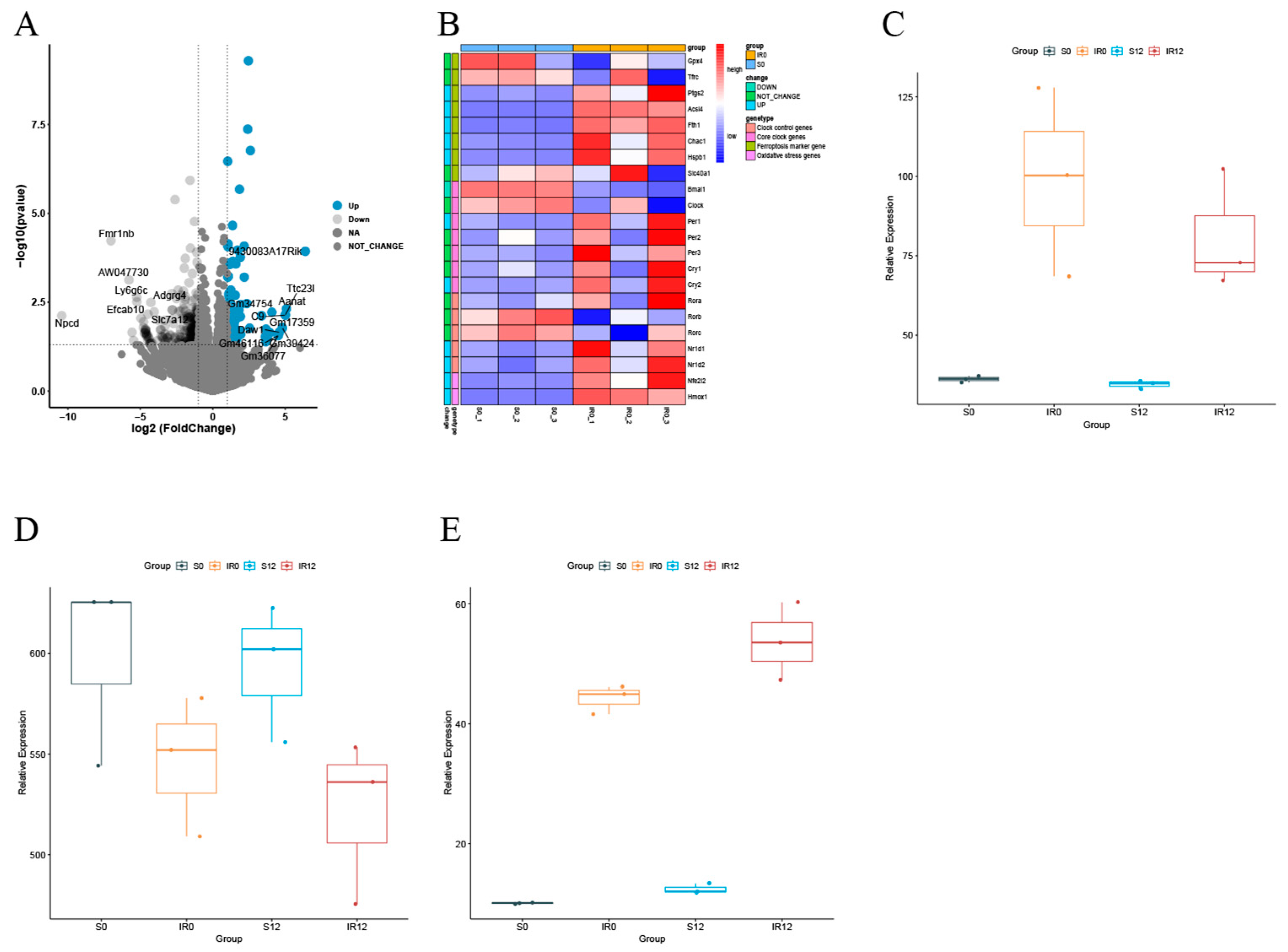 Biomedicines 13 01375 g001