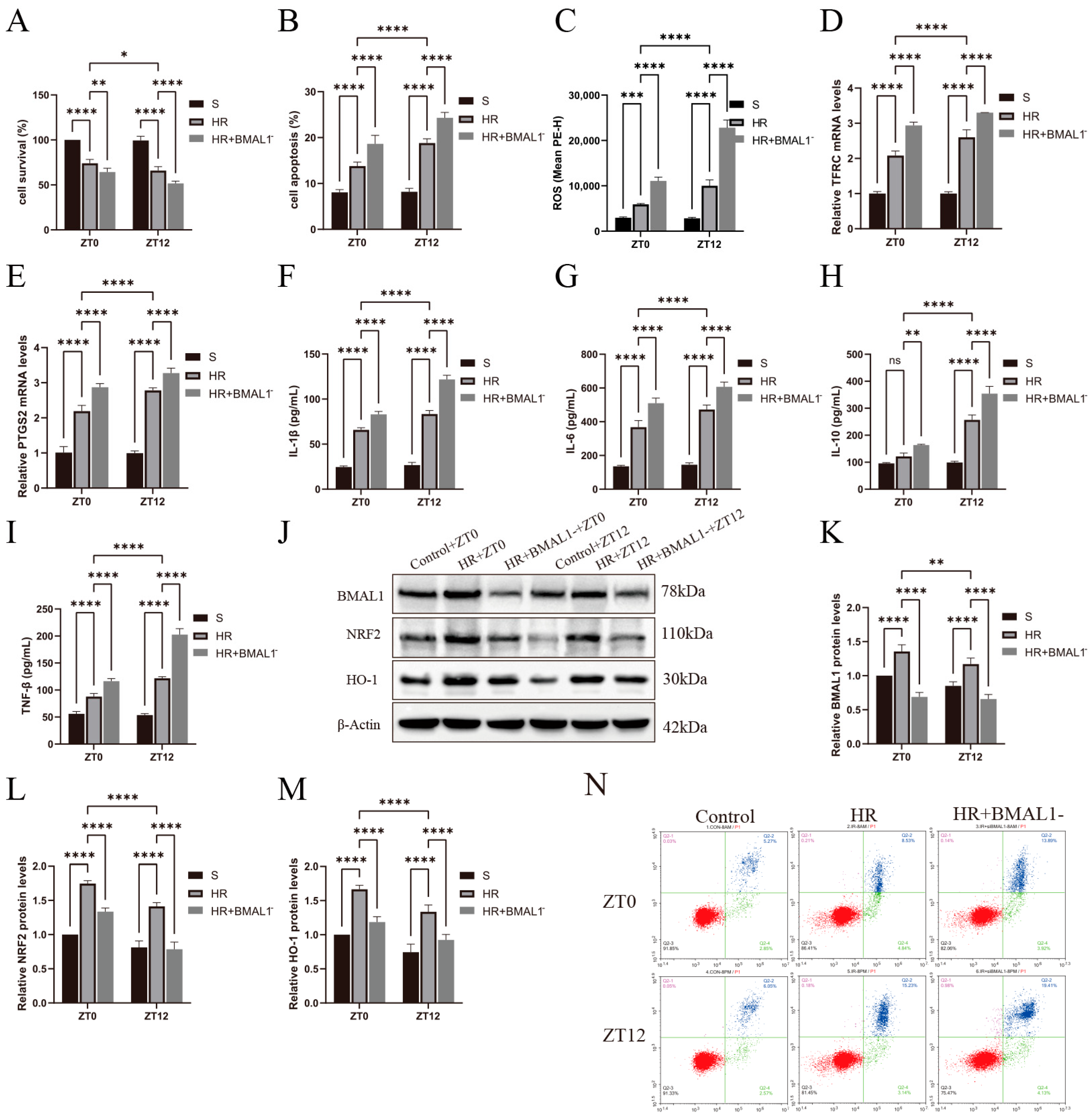 Biomedicines 13 01375 g005
