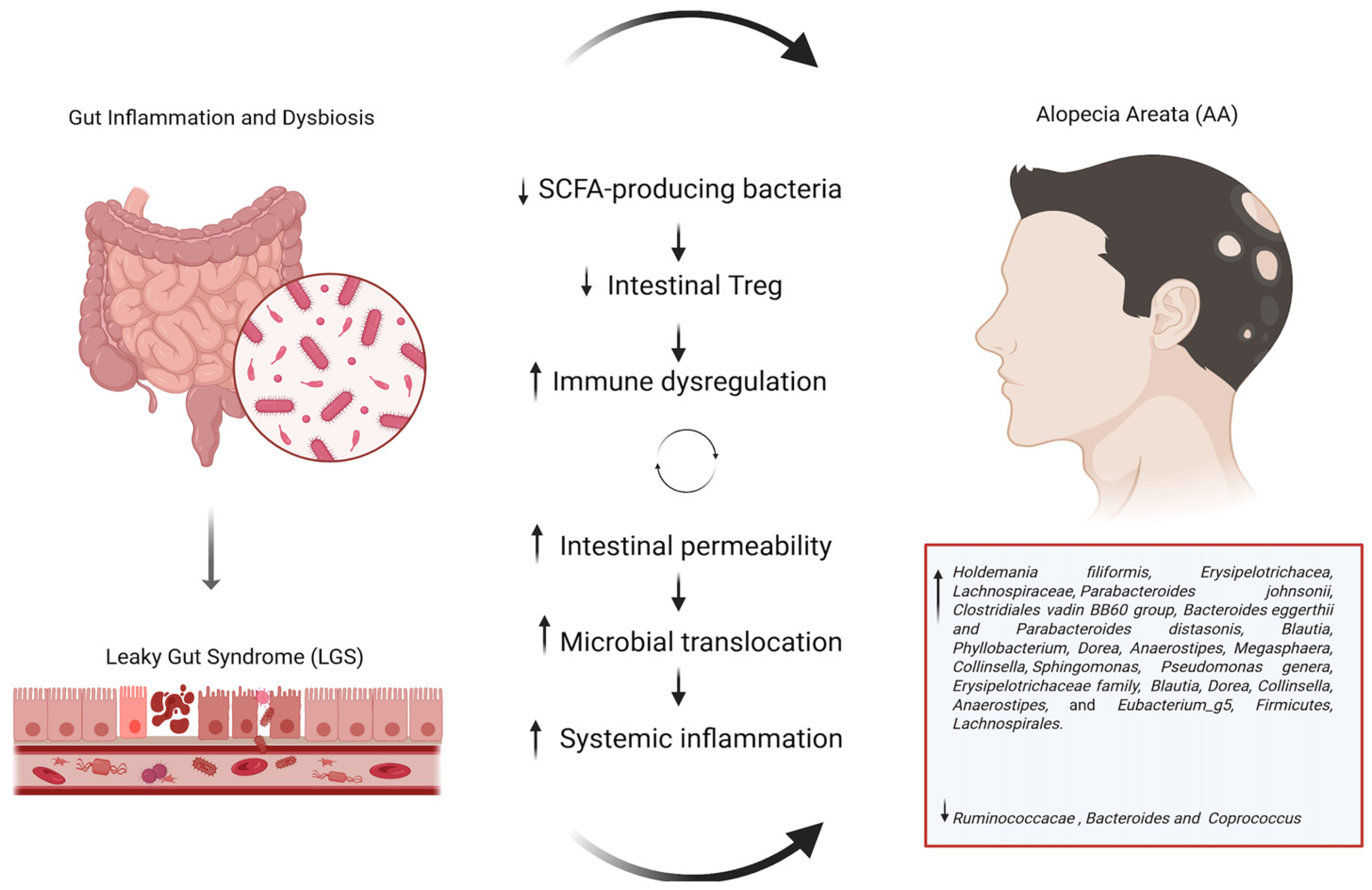 Biomedicines 13 01379 g001