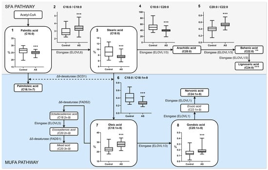 Biomedicines 13 01383 g002