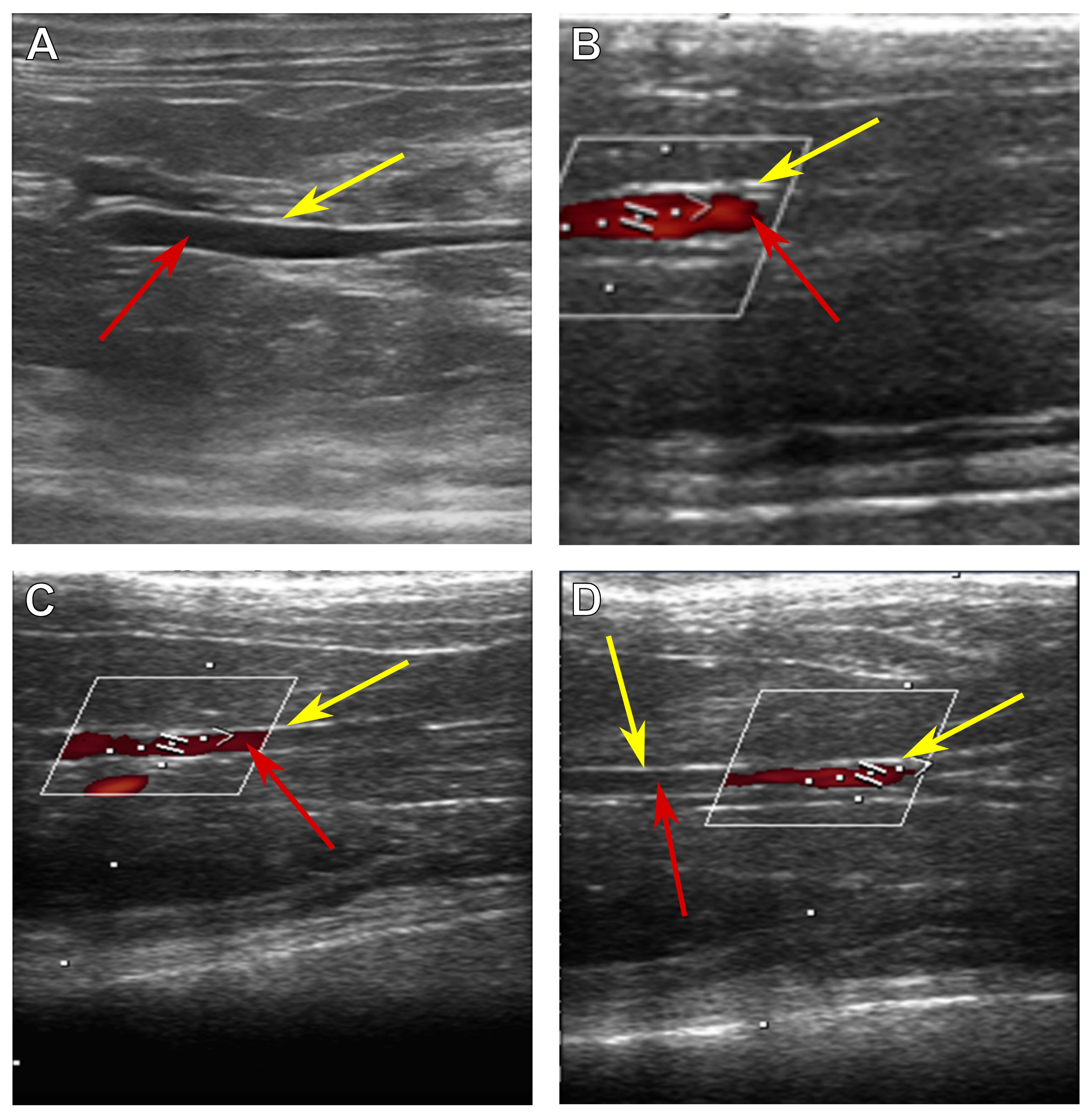 Biomedicines 13 01385 g001