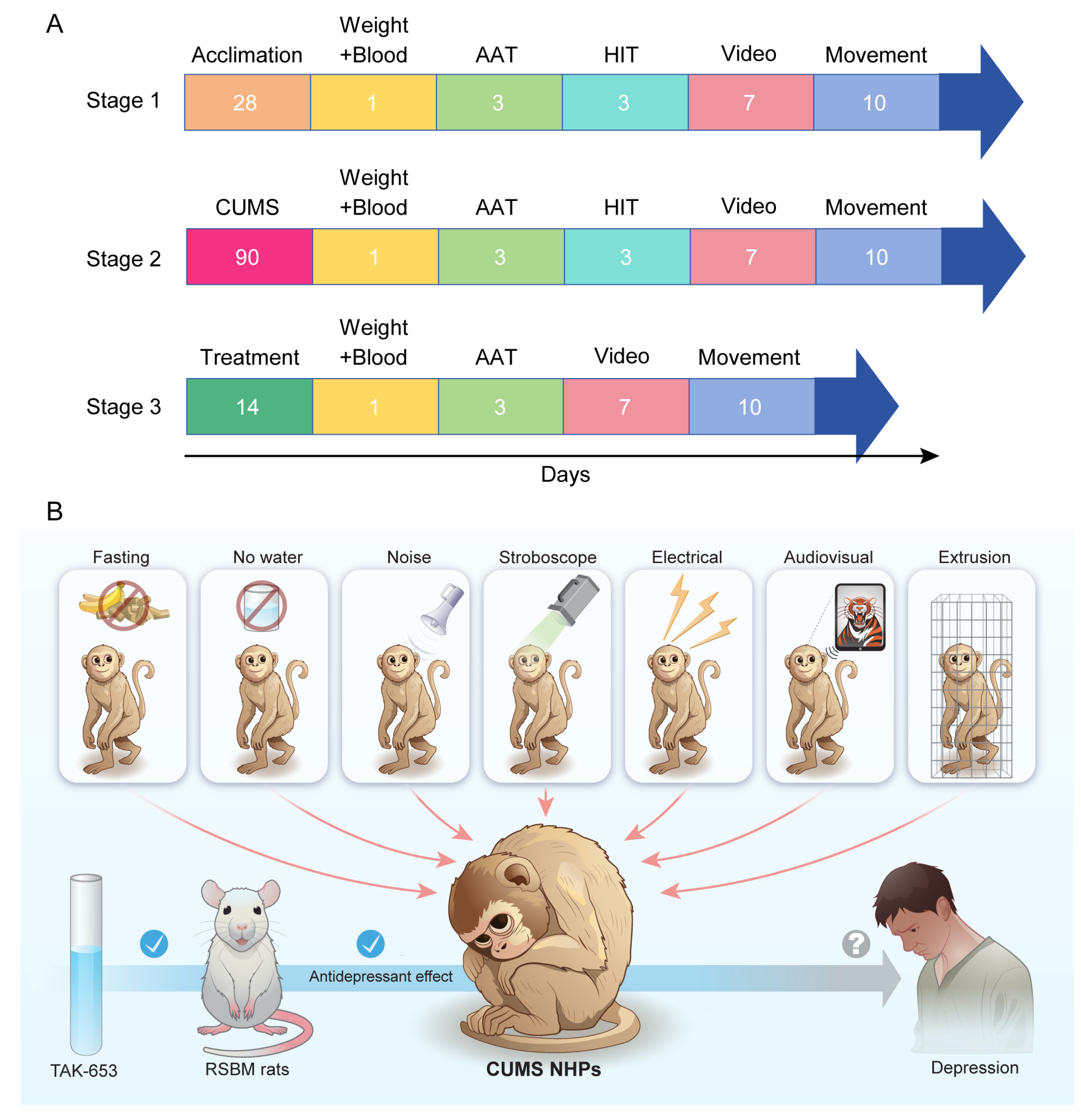 Biomedicines 13 01389 g001
