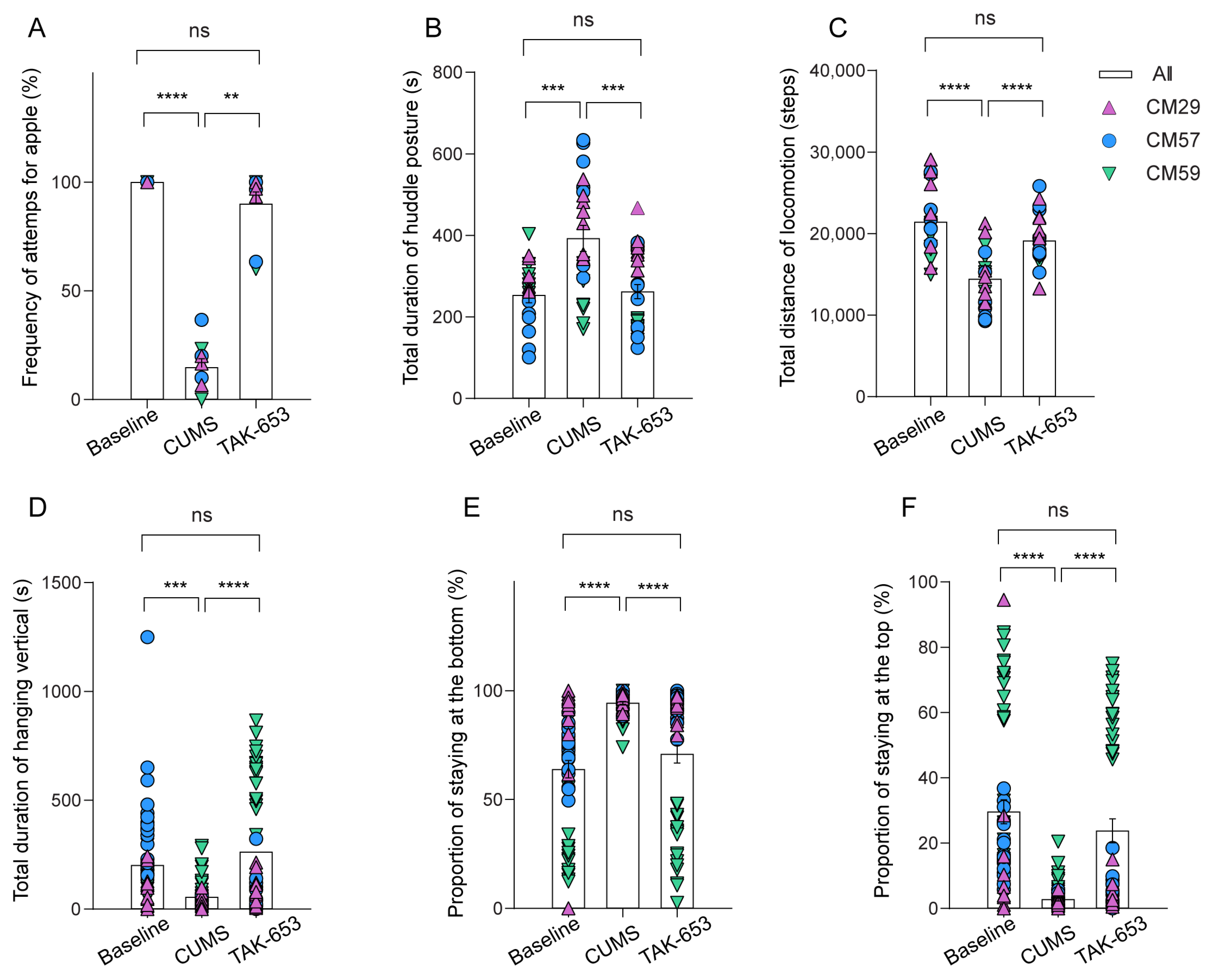 Biomedicines 13 01389 g003