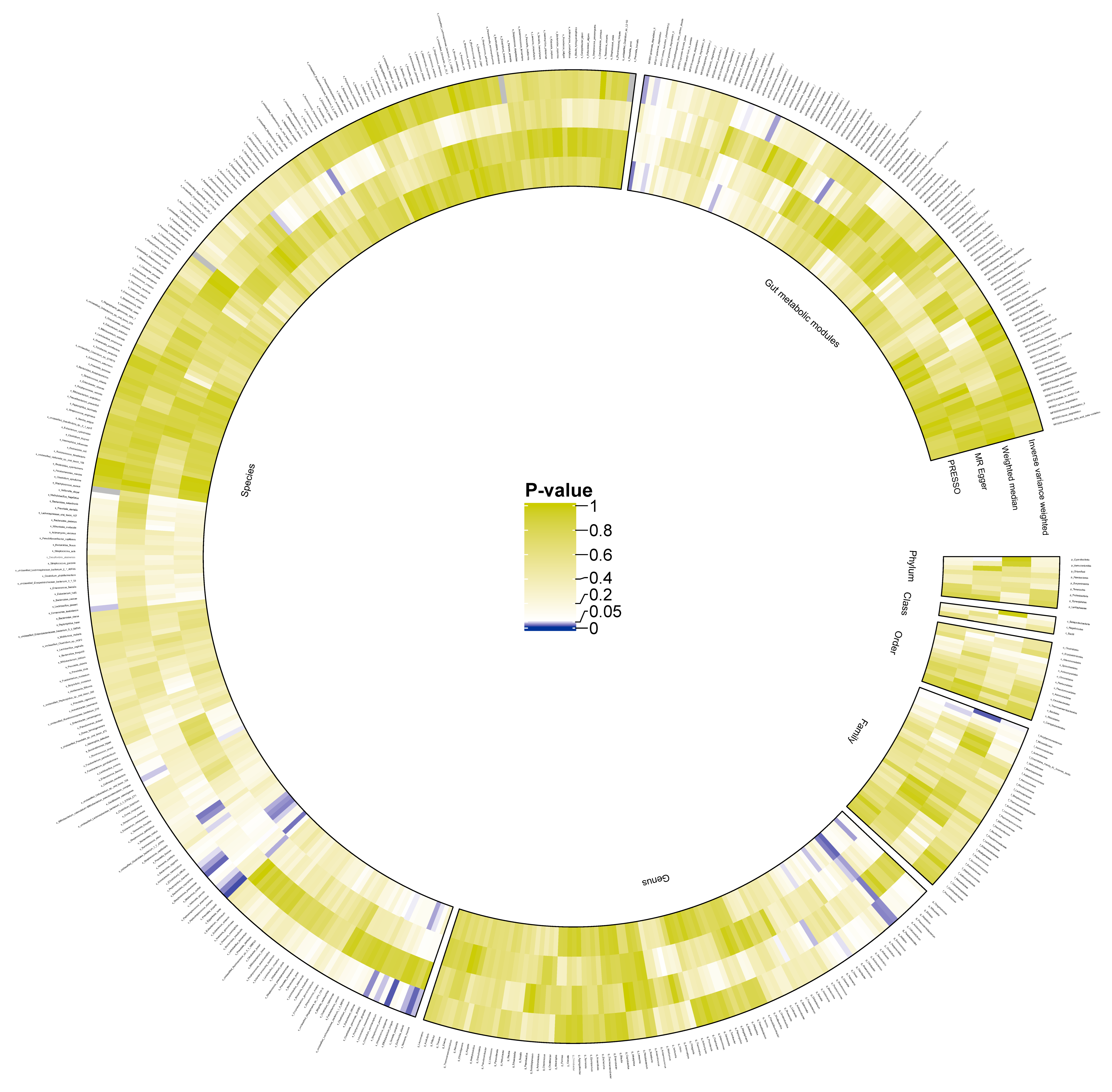 Biomedicines 13 01397 g002