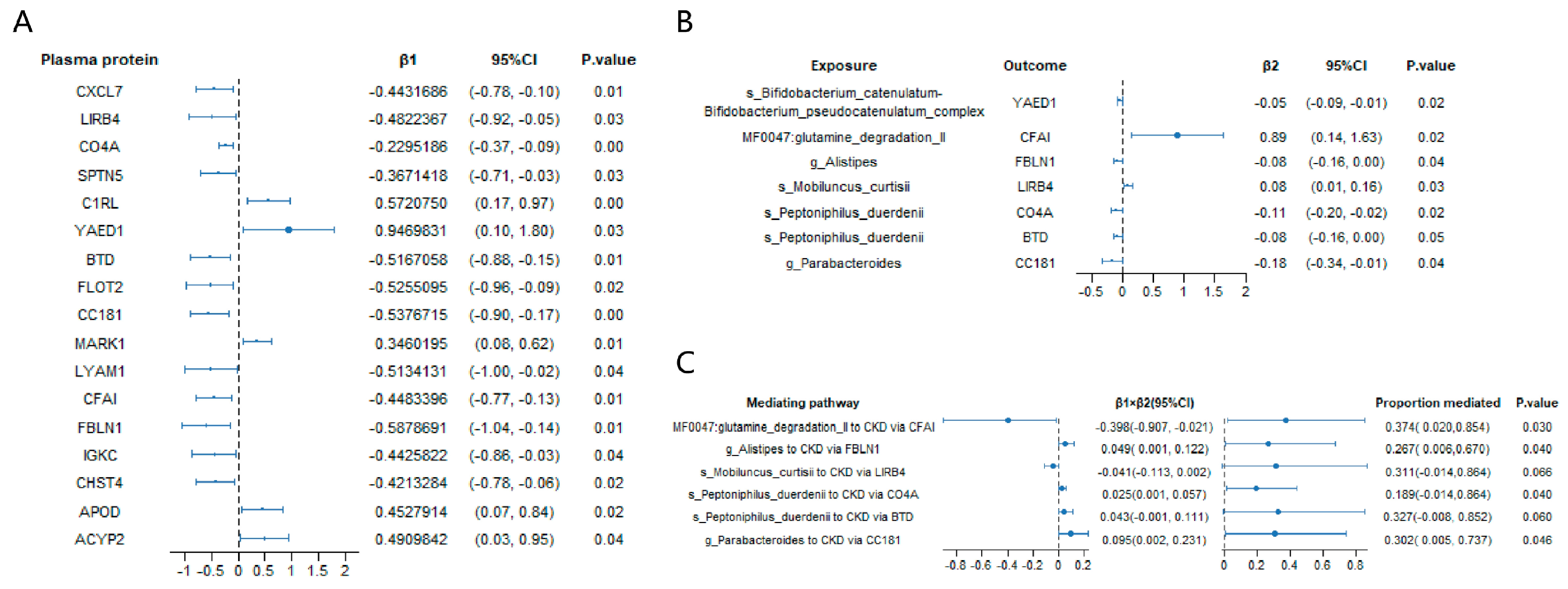 Biomedicines 13 01397 g004