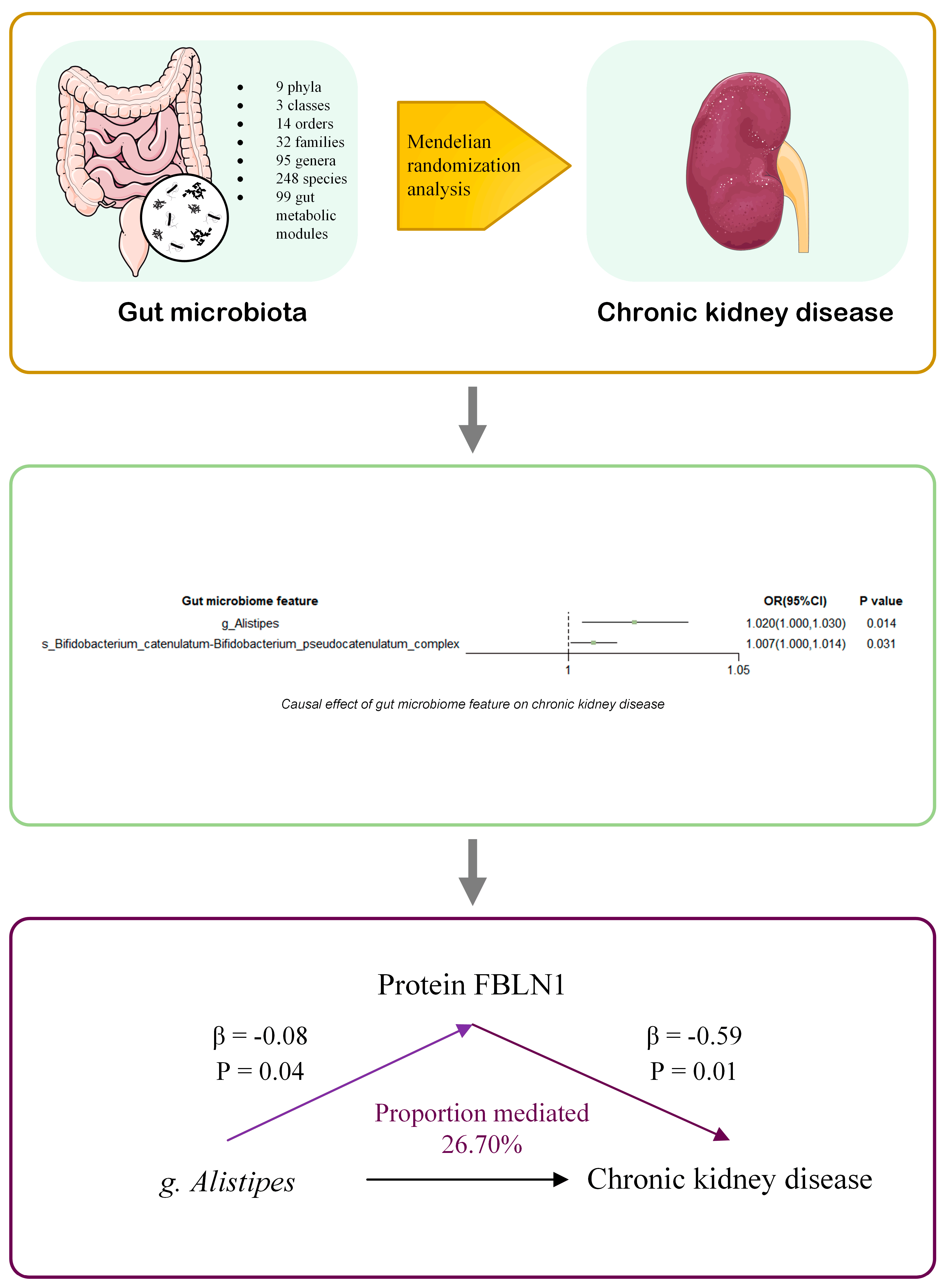 Biomedicines 13 01397 g005