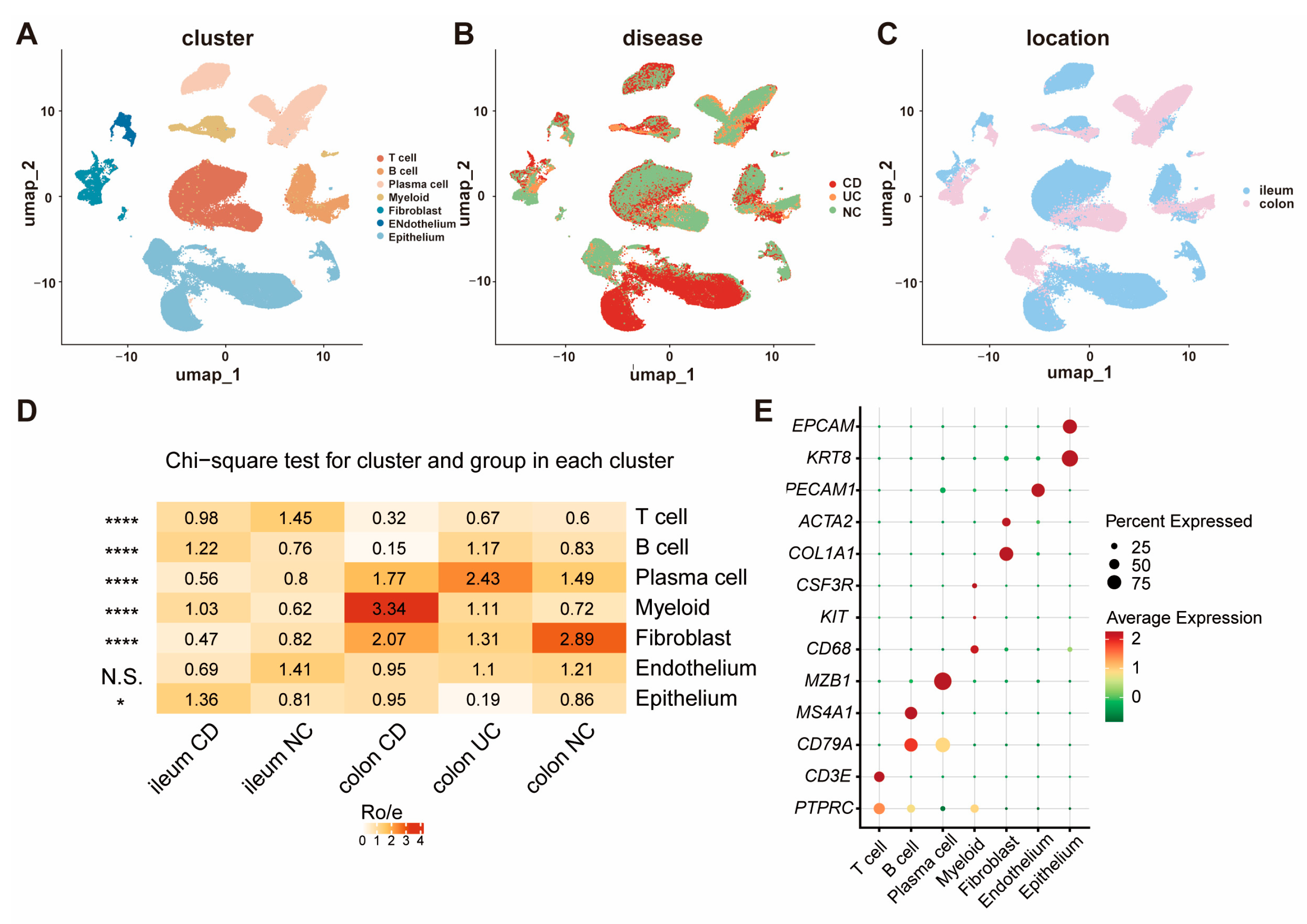 Biomedicines 13 01398 g001