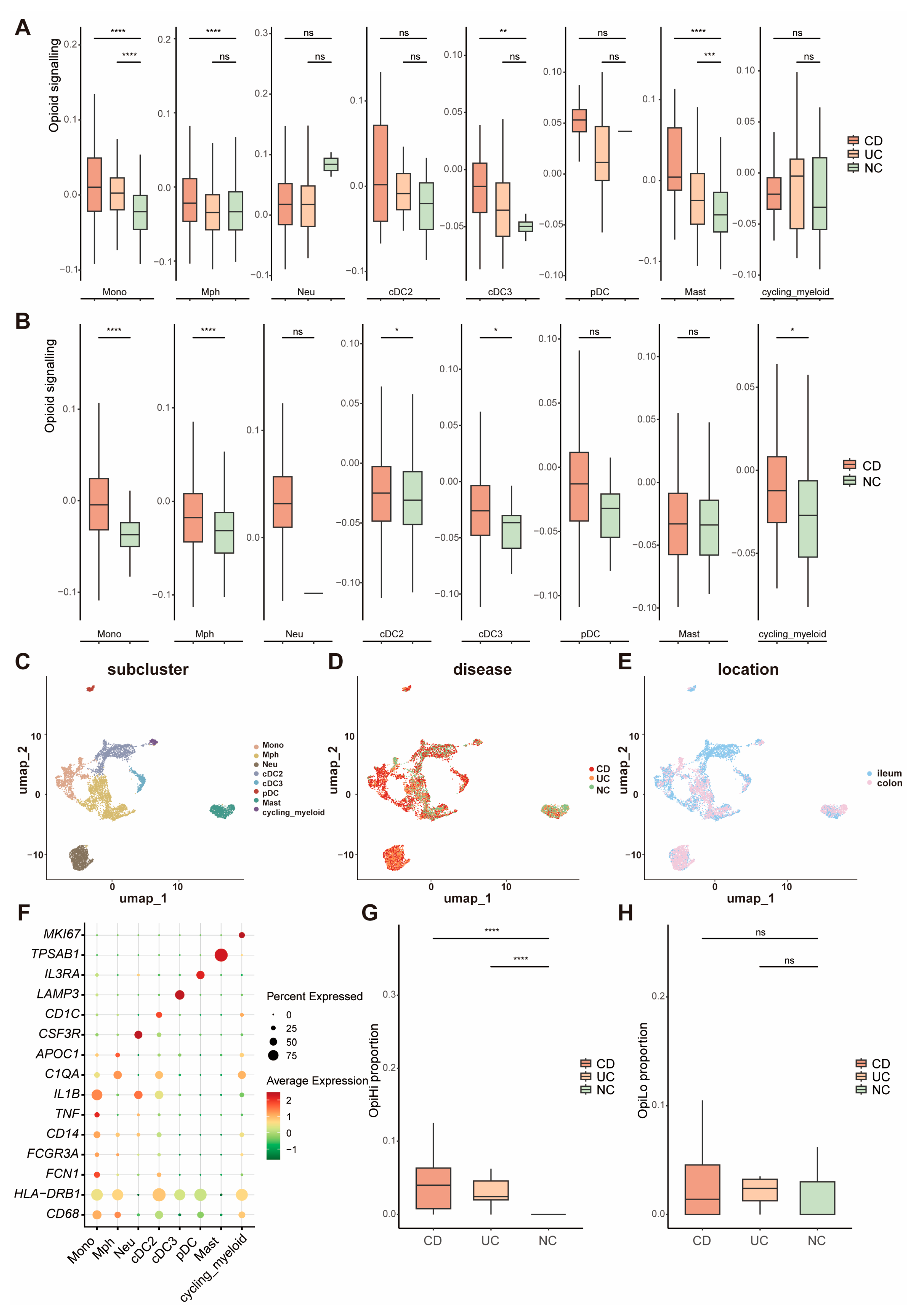 Biomedicines 13 01398 g002