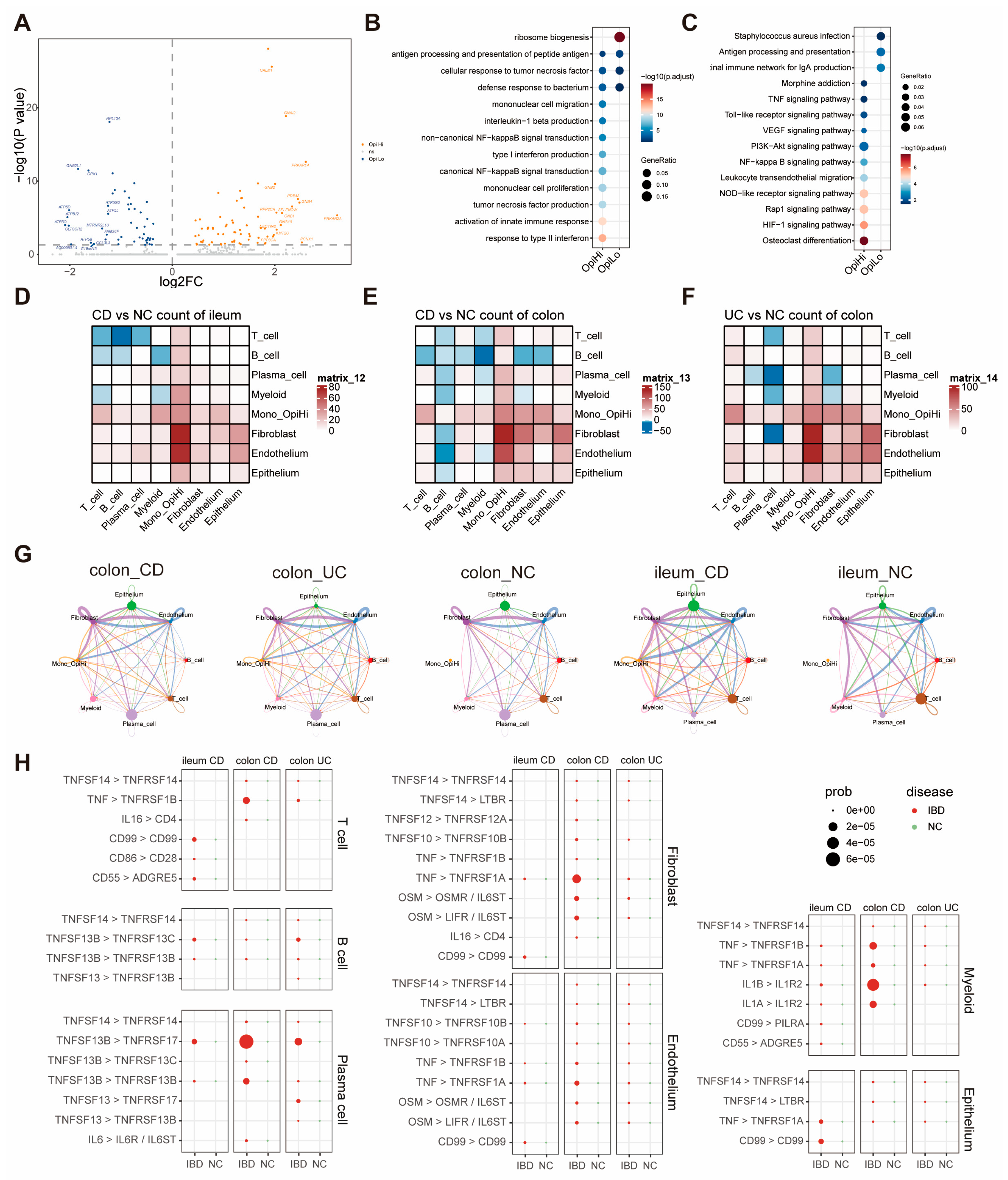 Biomedicines 13 01398 g003