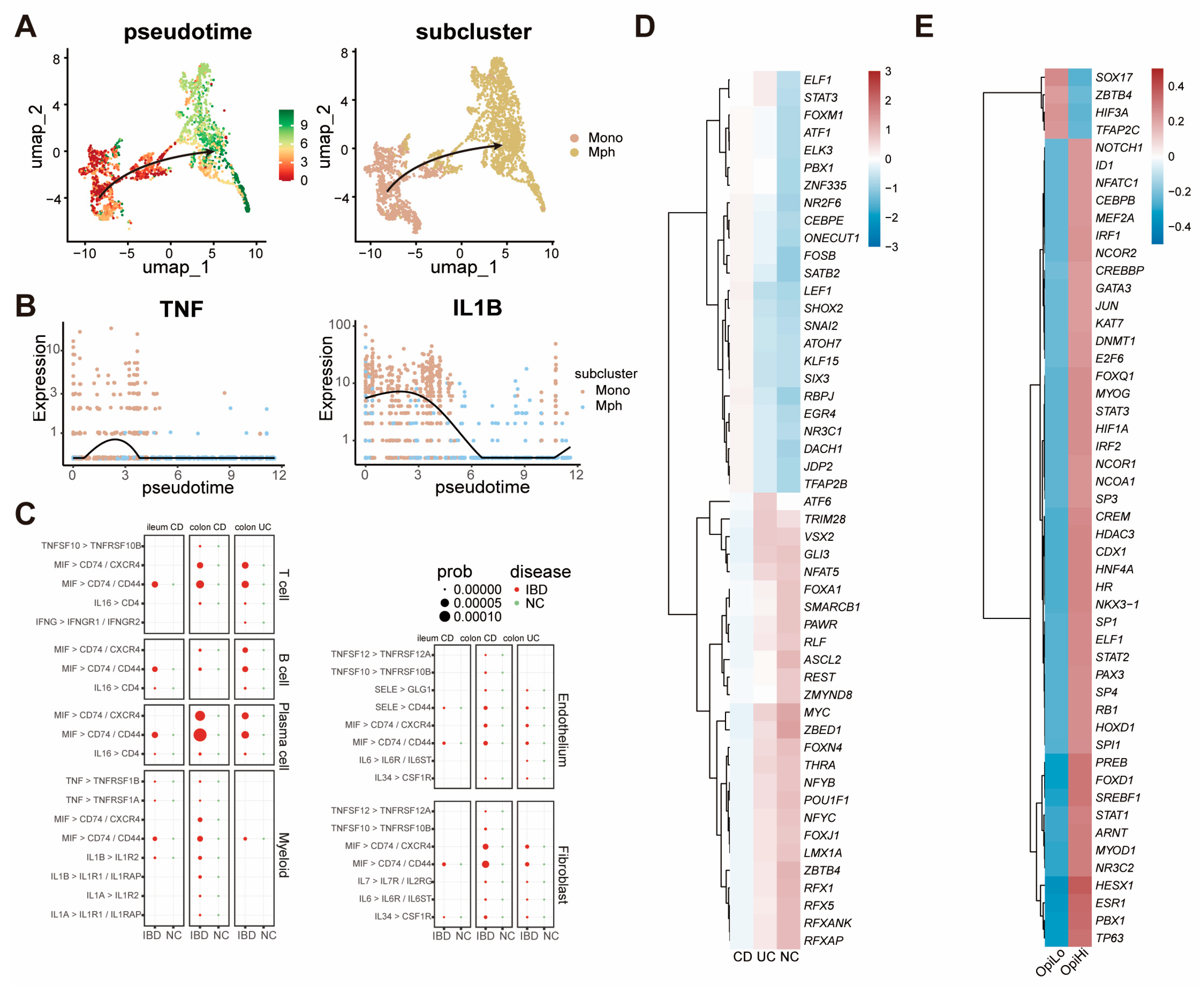 Biomedicines 13 01398 g004