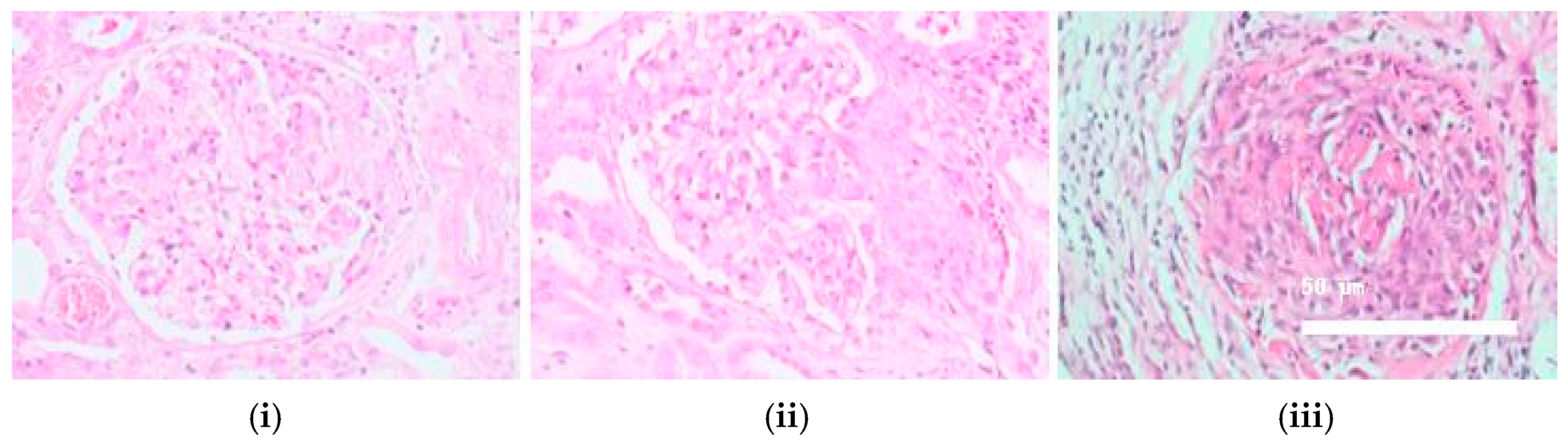 Biomedicines 13 01401 g001 Biomedicines 13 01401 g001