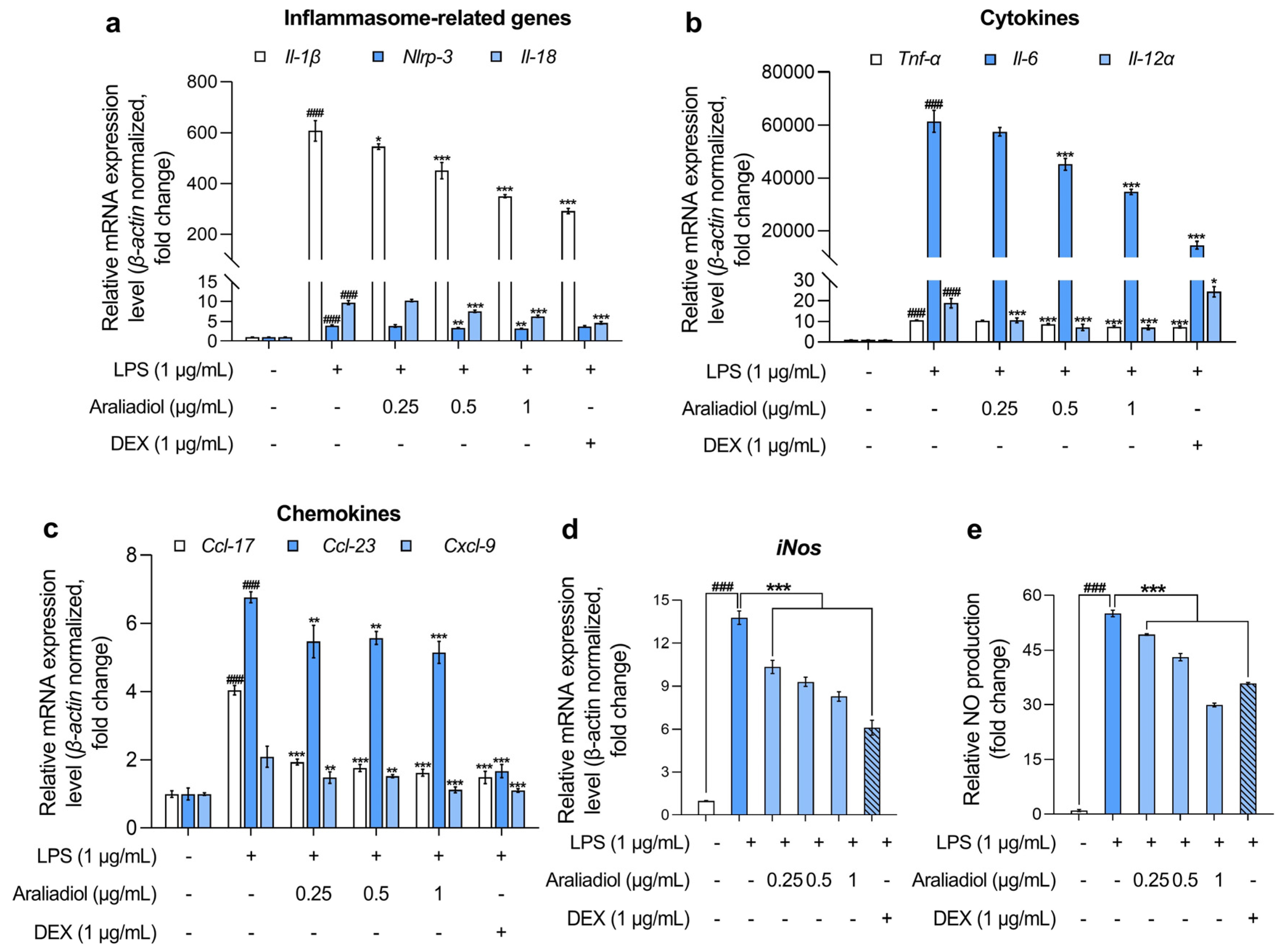 Biomedicines 13 01408 g002