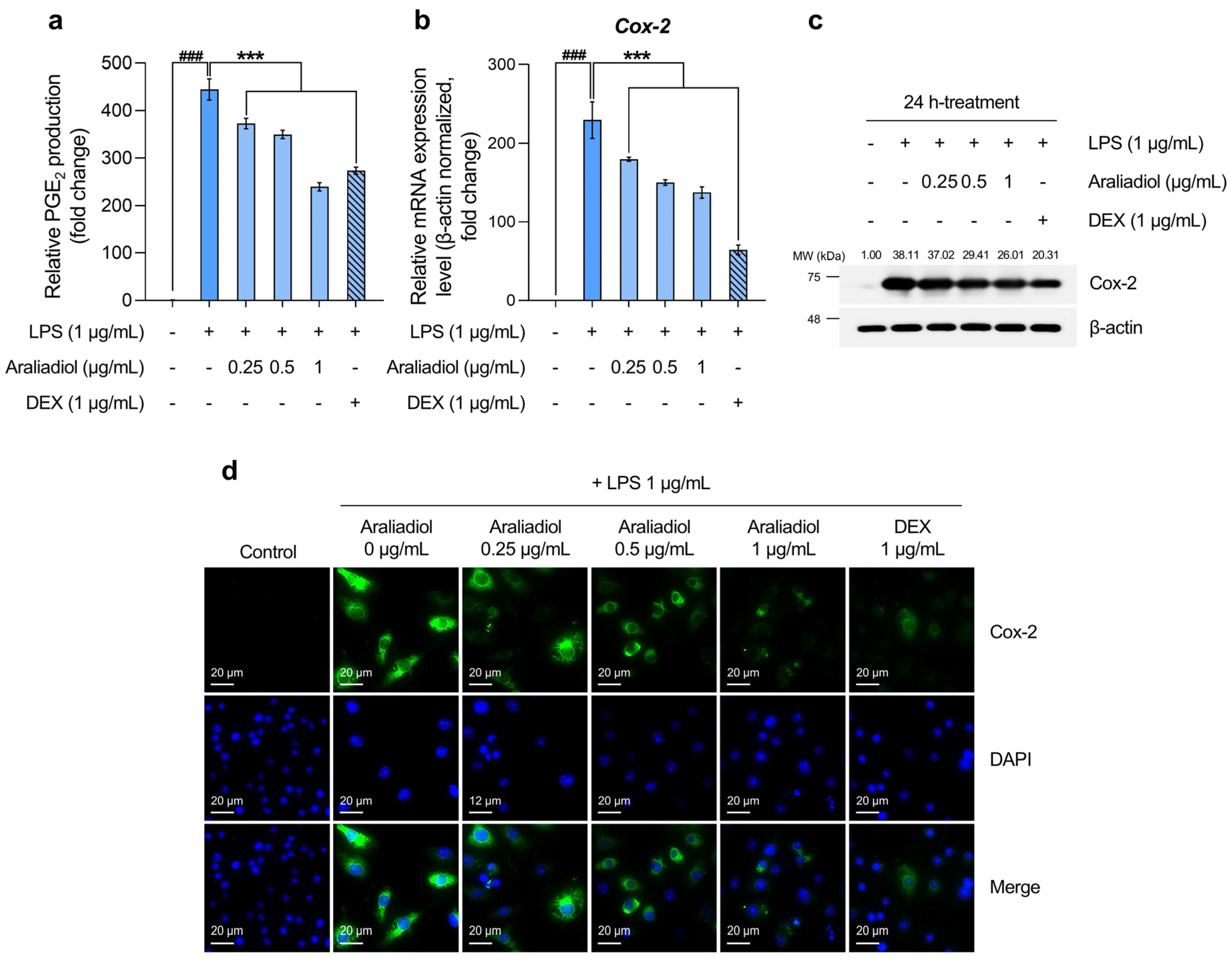 Biomedicines 13 01408 g003