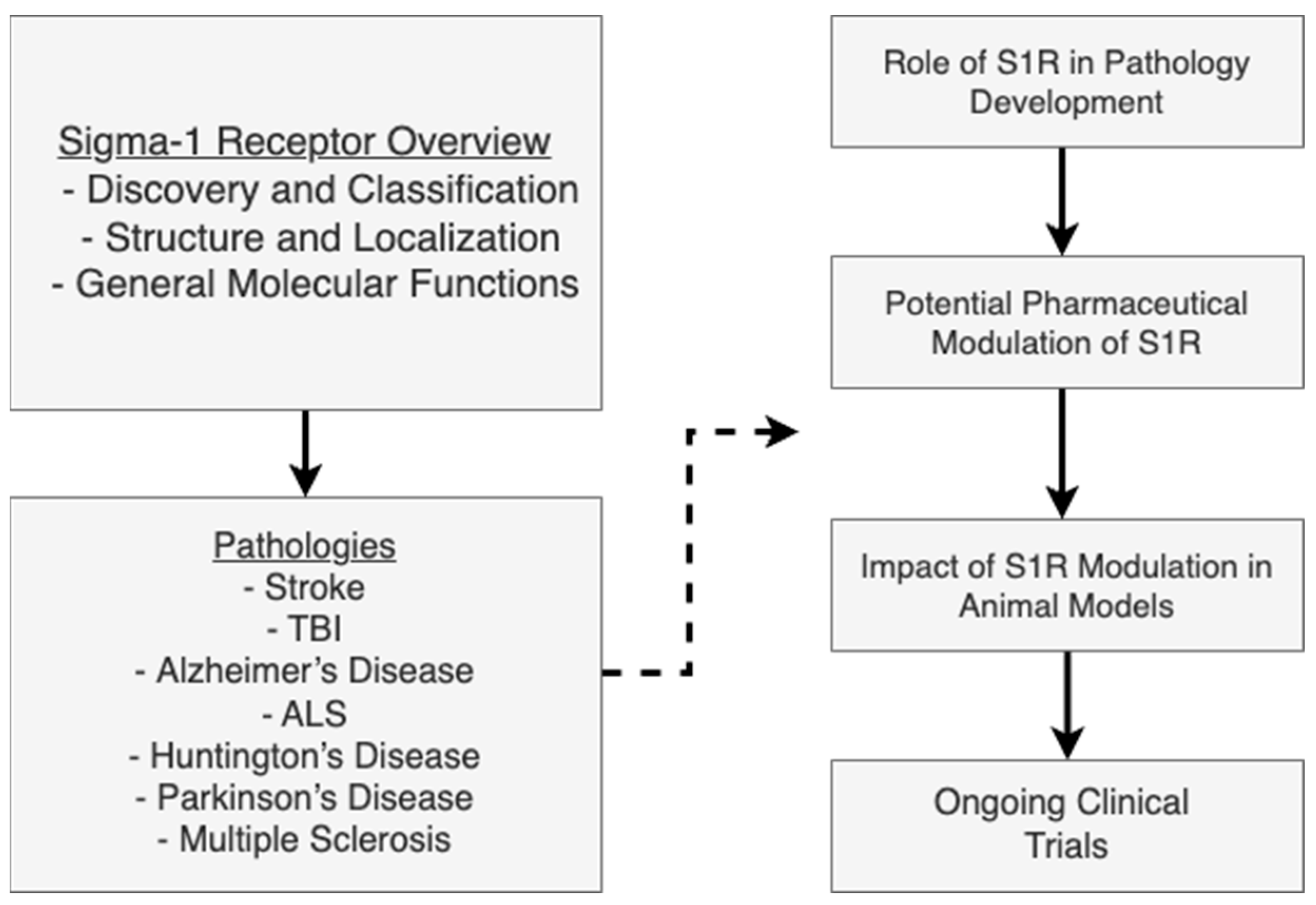 Biomedicines 13 01409 g001