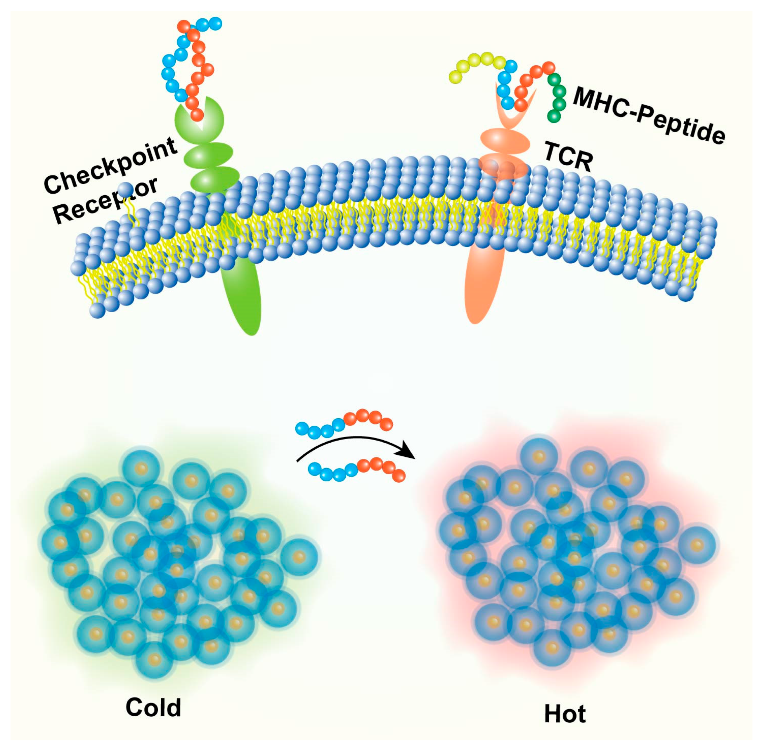 Biomedicines 13 01415 g005