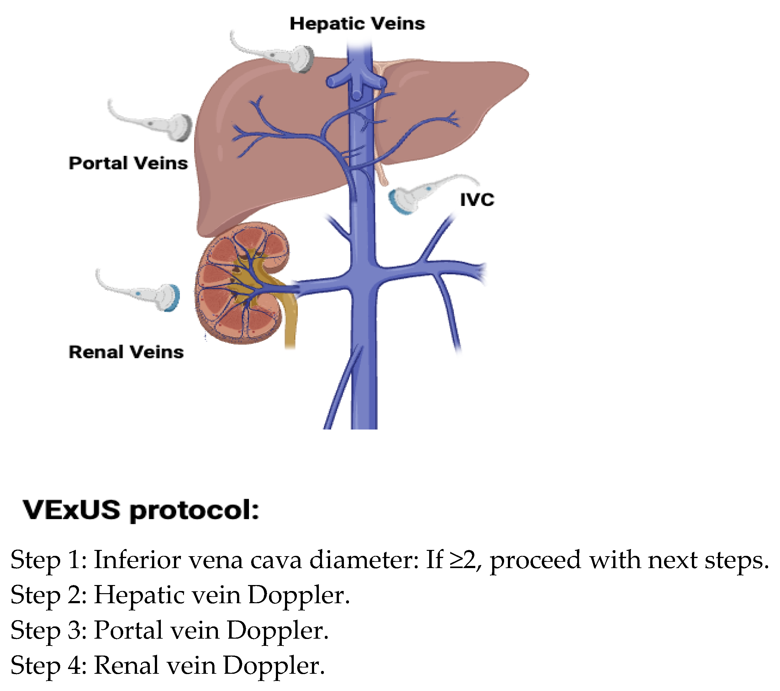 Biomedicines 13 01426 g003