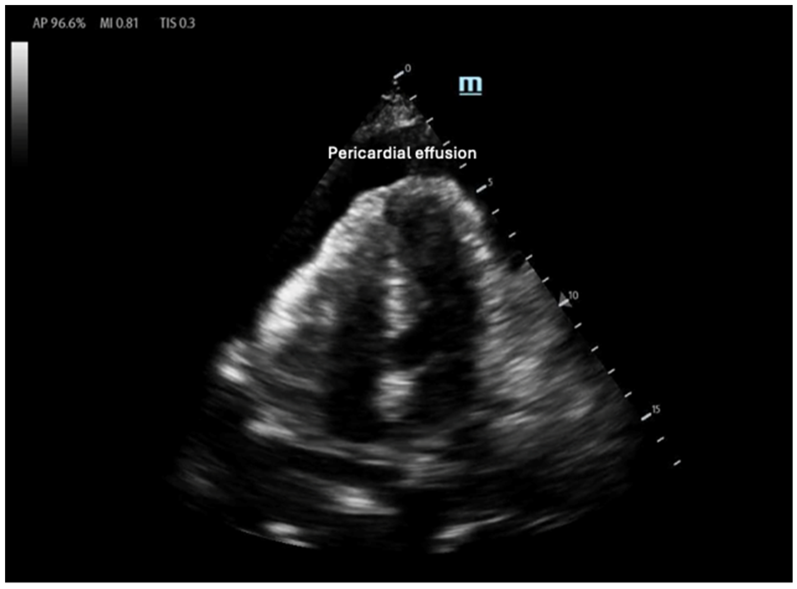 Biomedicines 13 01426 g005