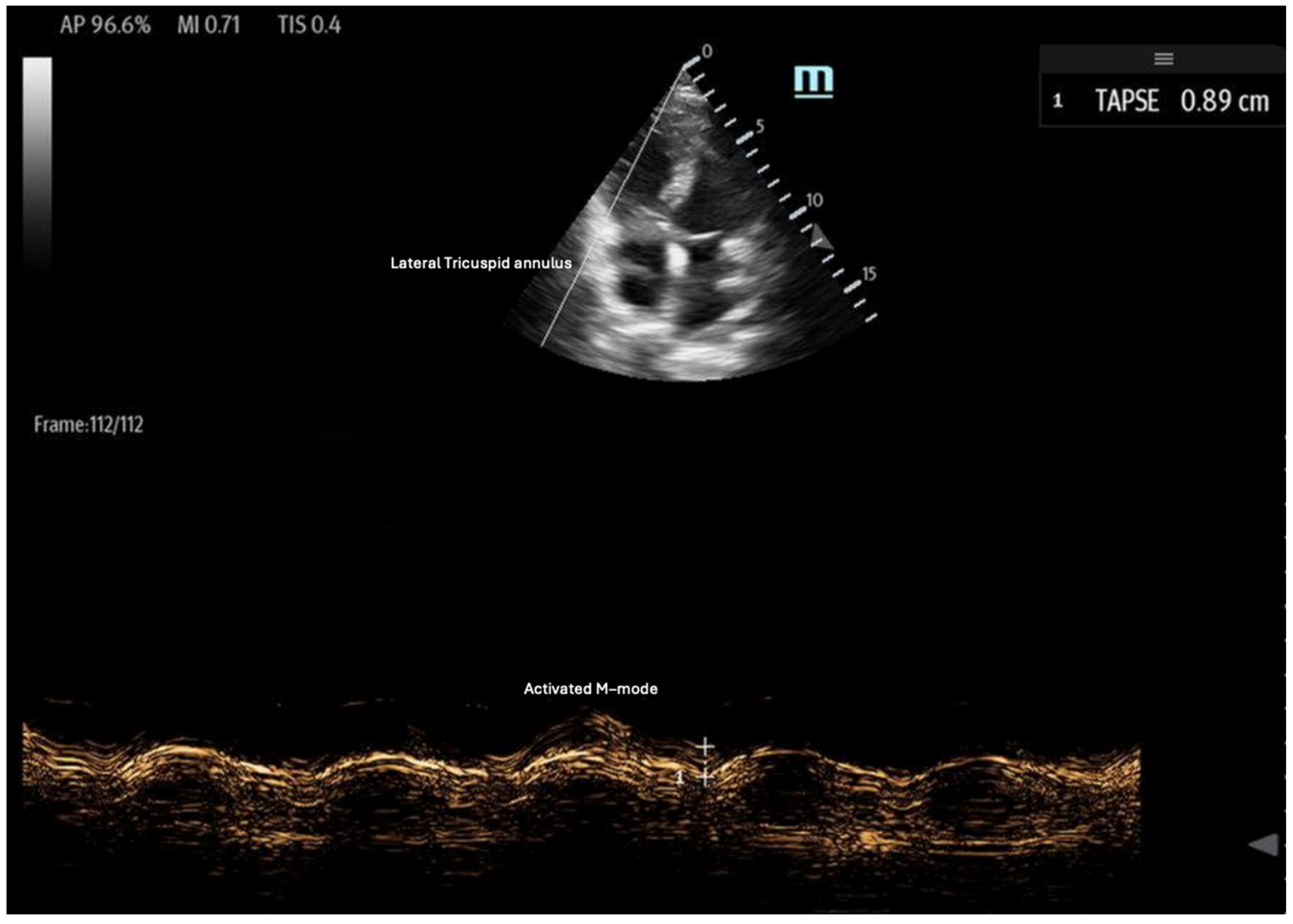 Biomedicines 13 01426 g006
