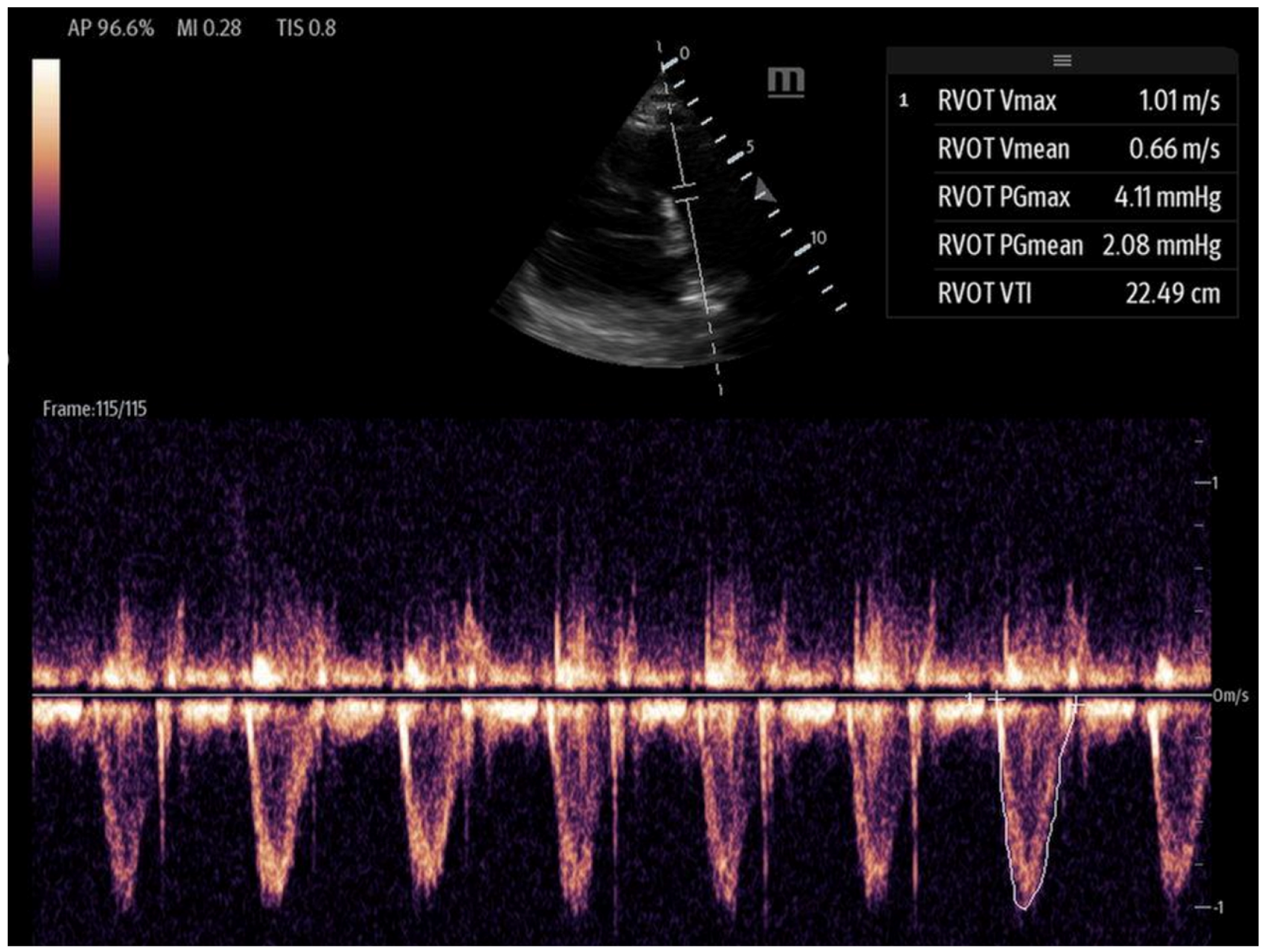 Biomedicines 13 01426 g007