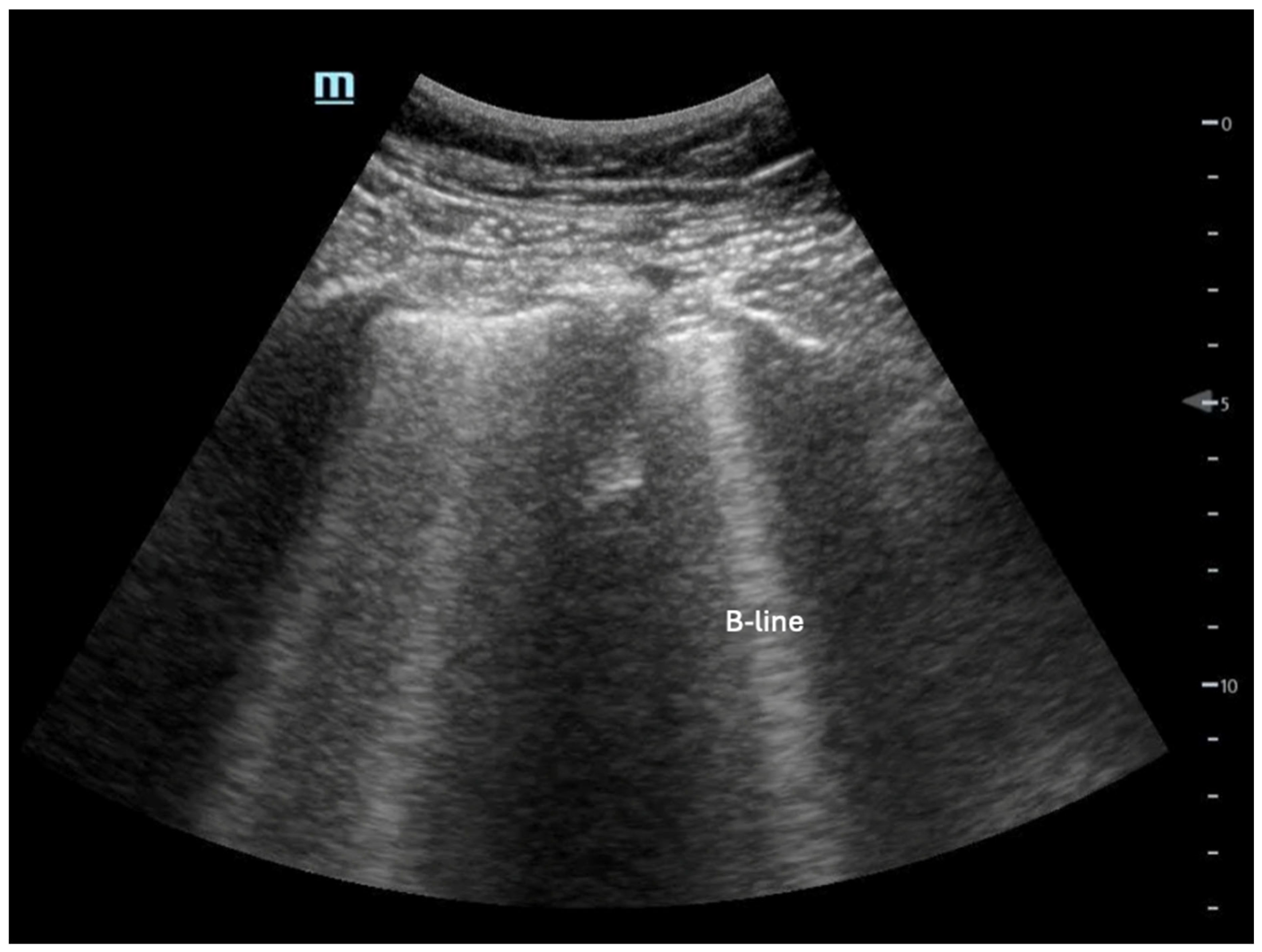 Biomedicines 13 01426 g010